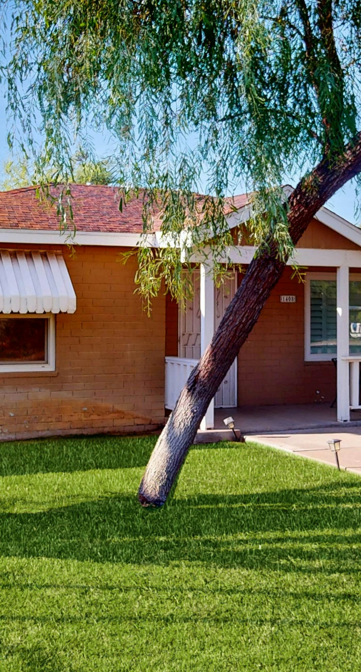 Living the Coronado Dream