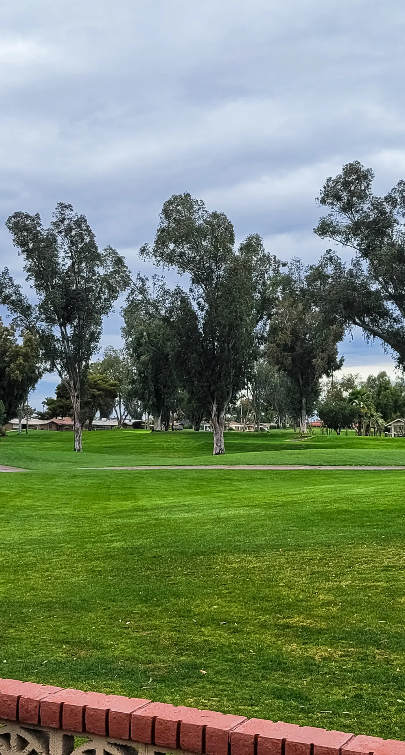 On the 13th Hole