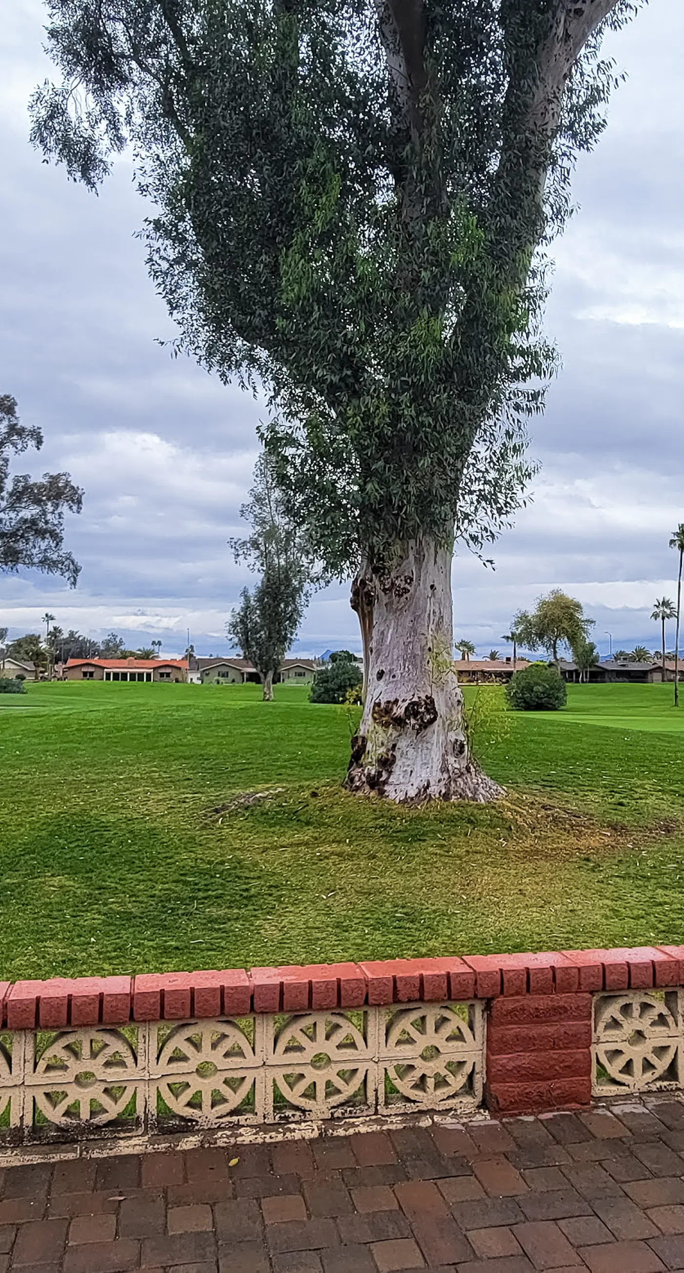 On the 13th Hole