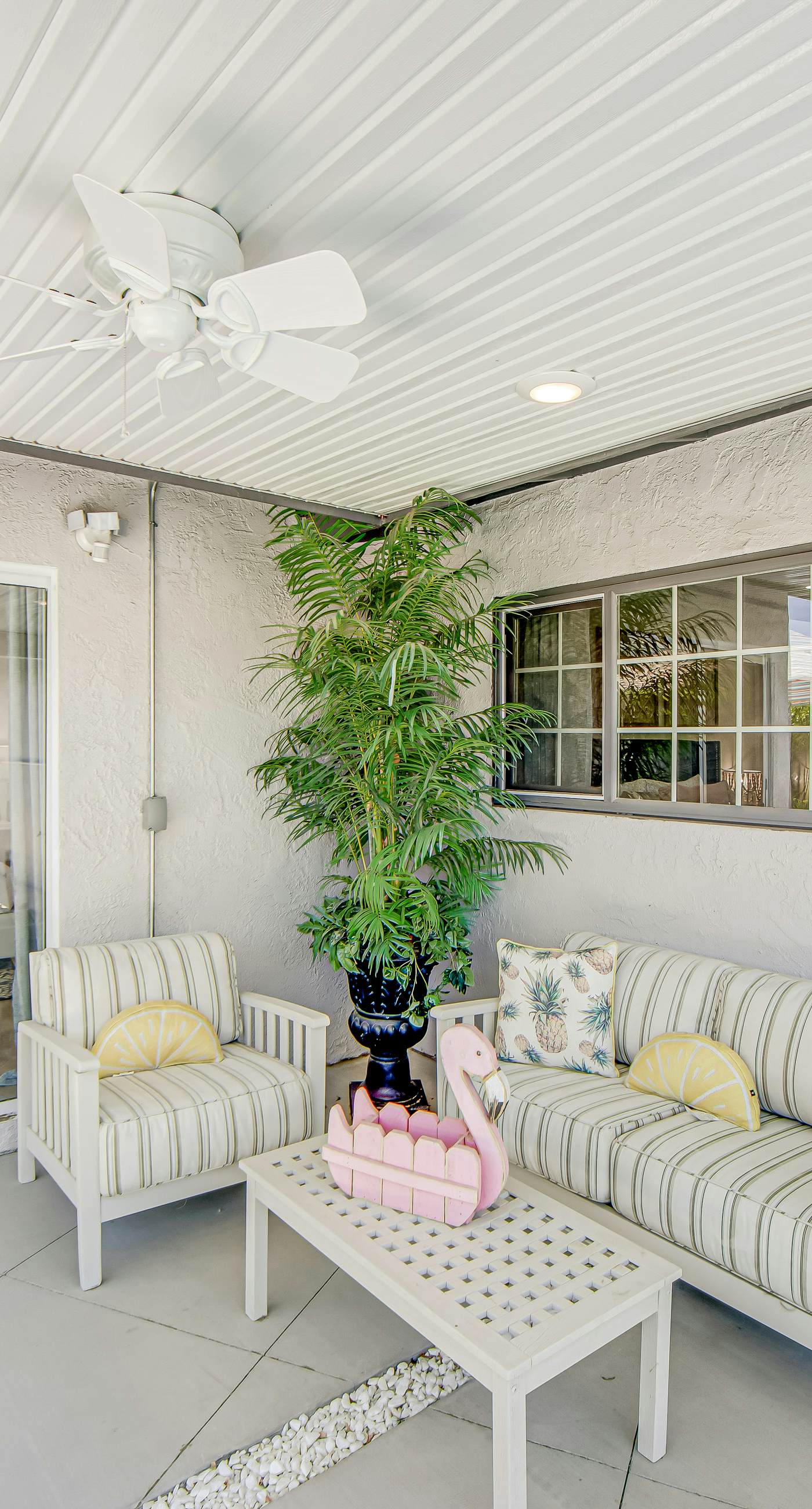 Desert Shadow - 4978