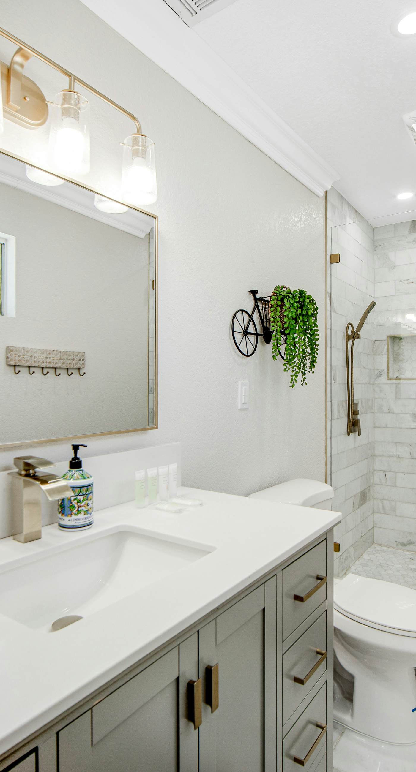 Desert Shadow - 4978