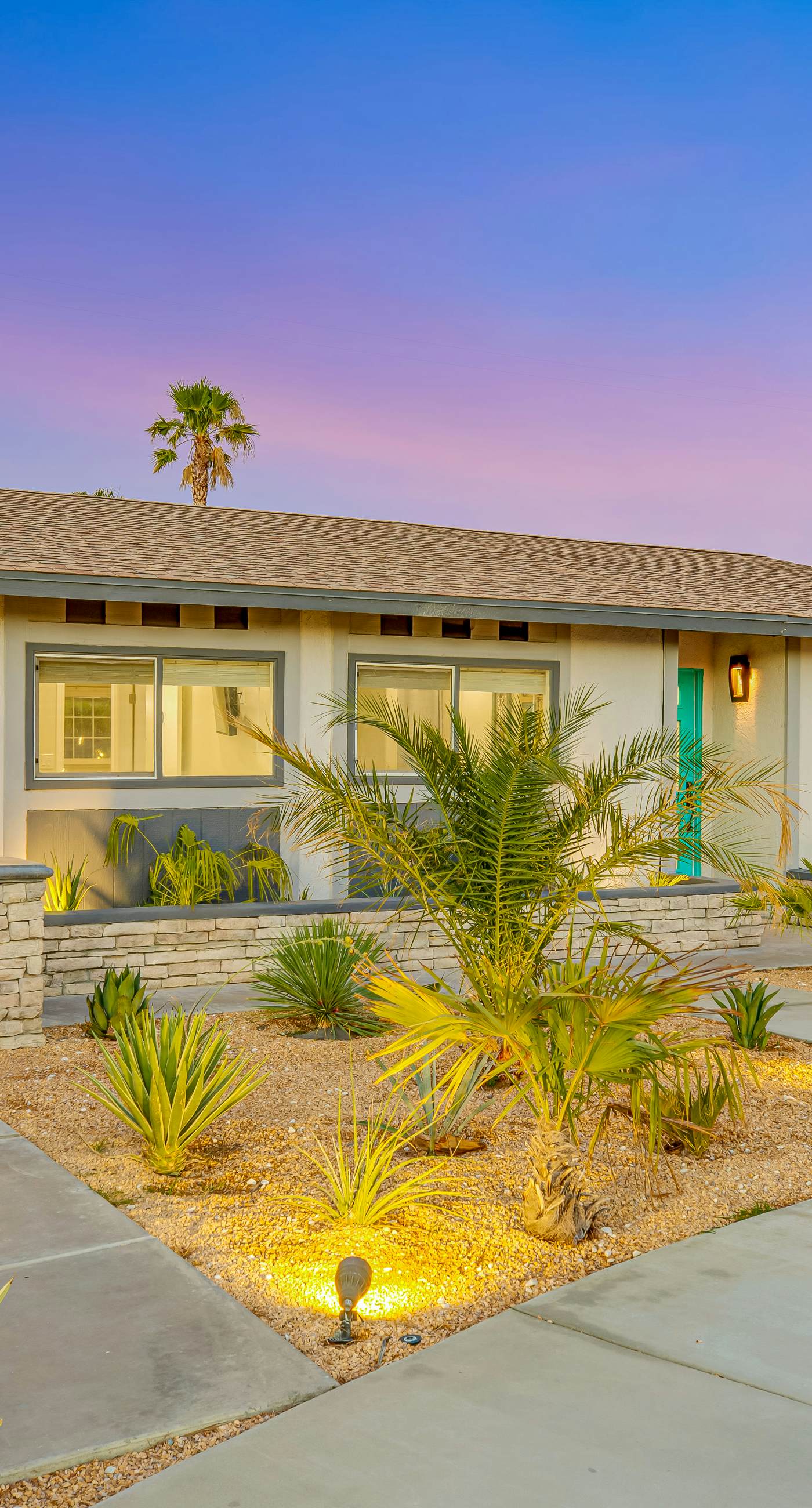 Desert Shadow - 4978