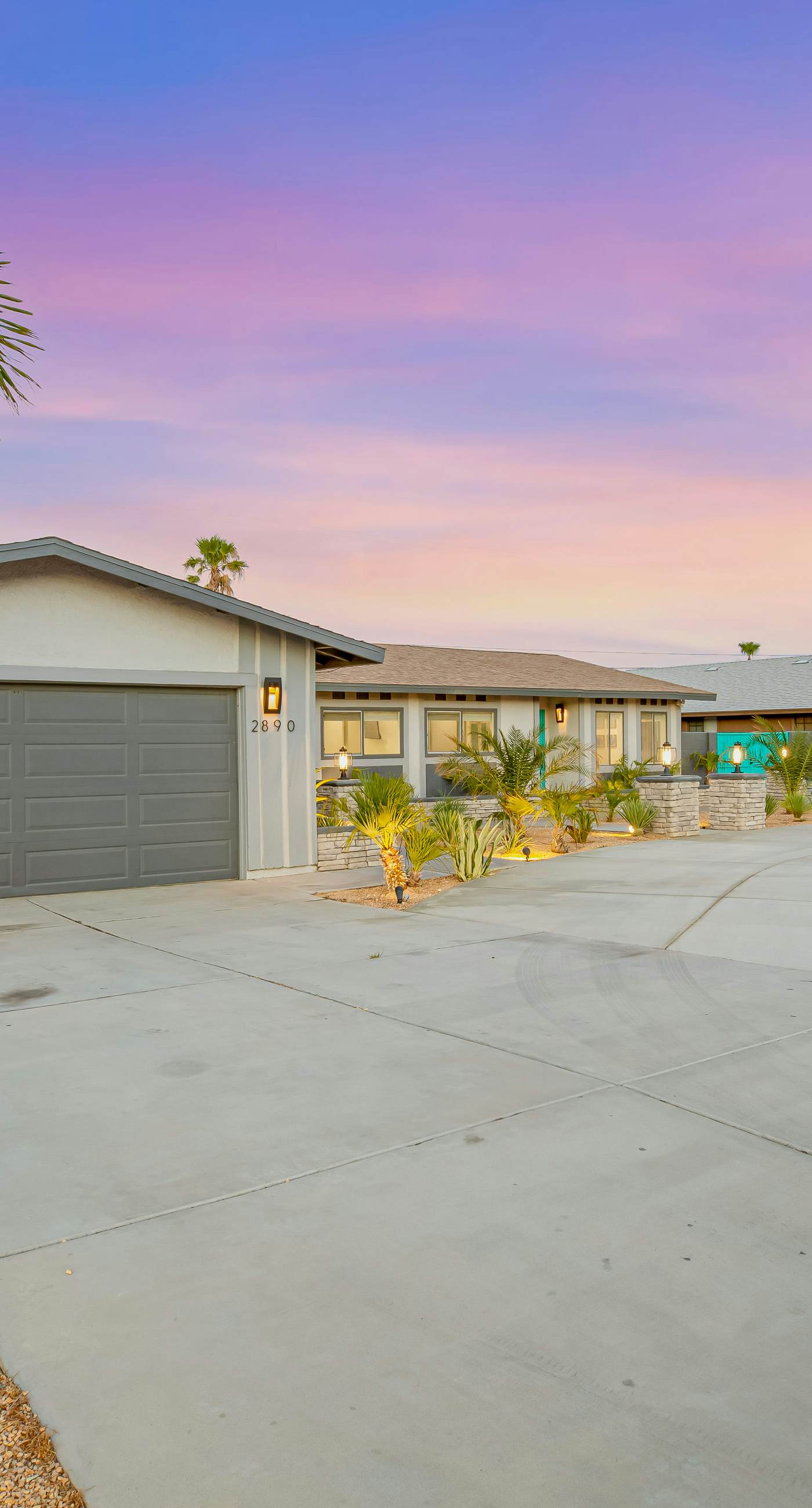 Desert Shadow - 4978