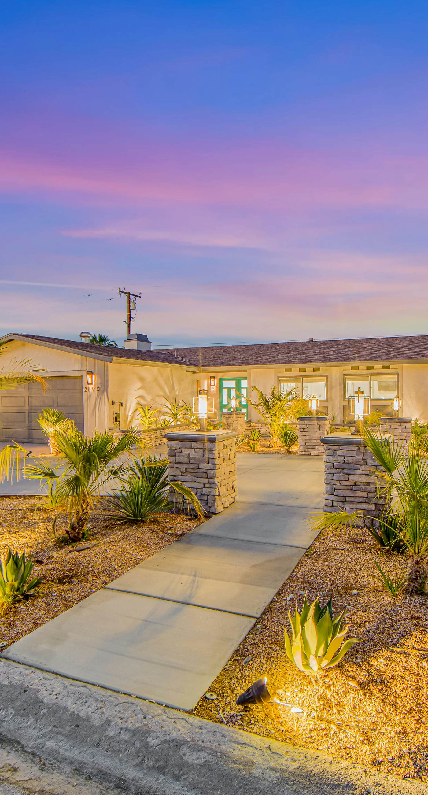 Desert Shadow - 4978