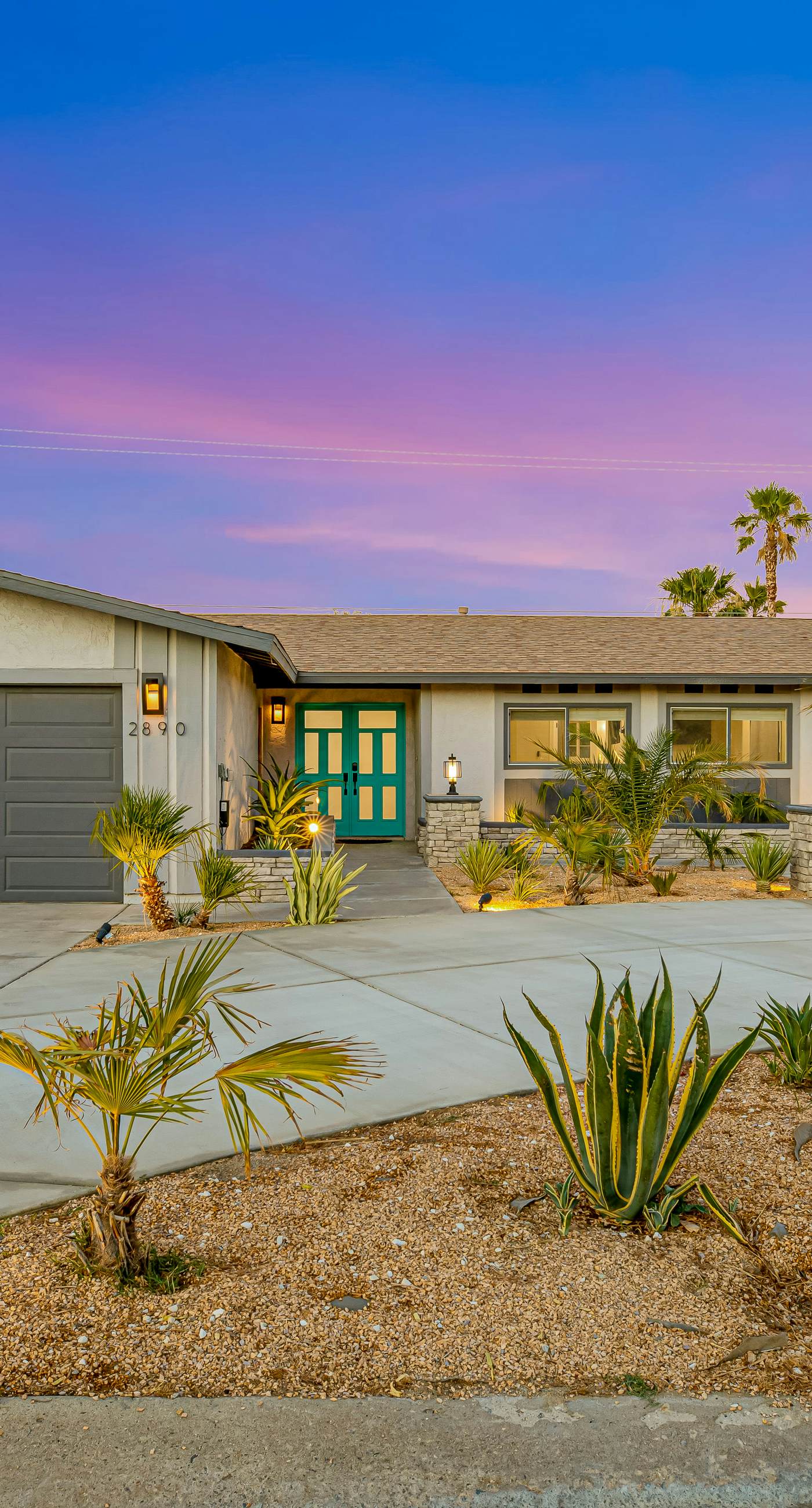 Desert Shadow - 4978