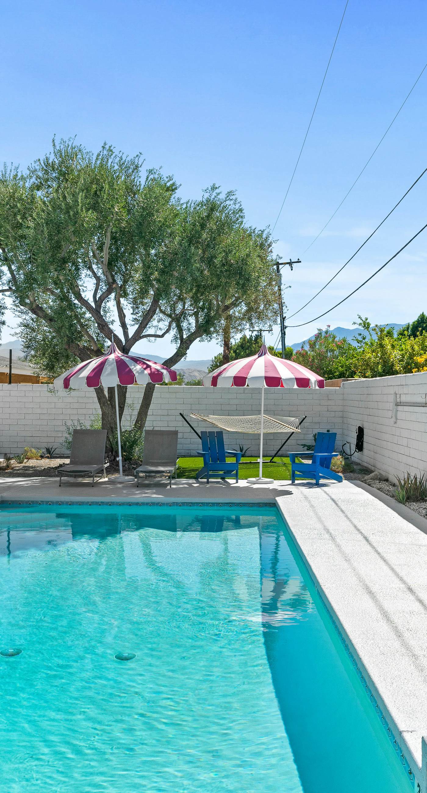 La Vie En Rose - 3901