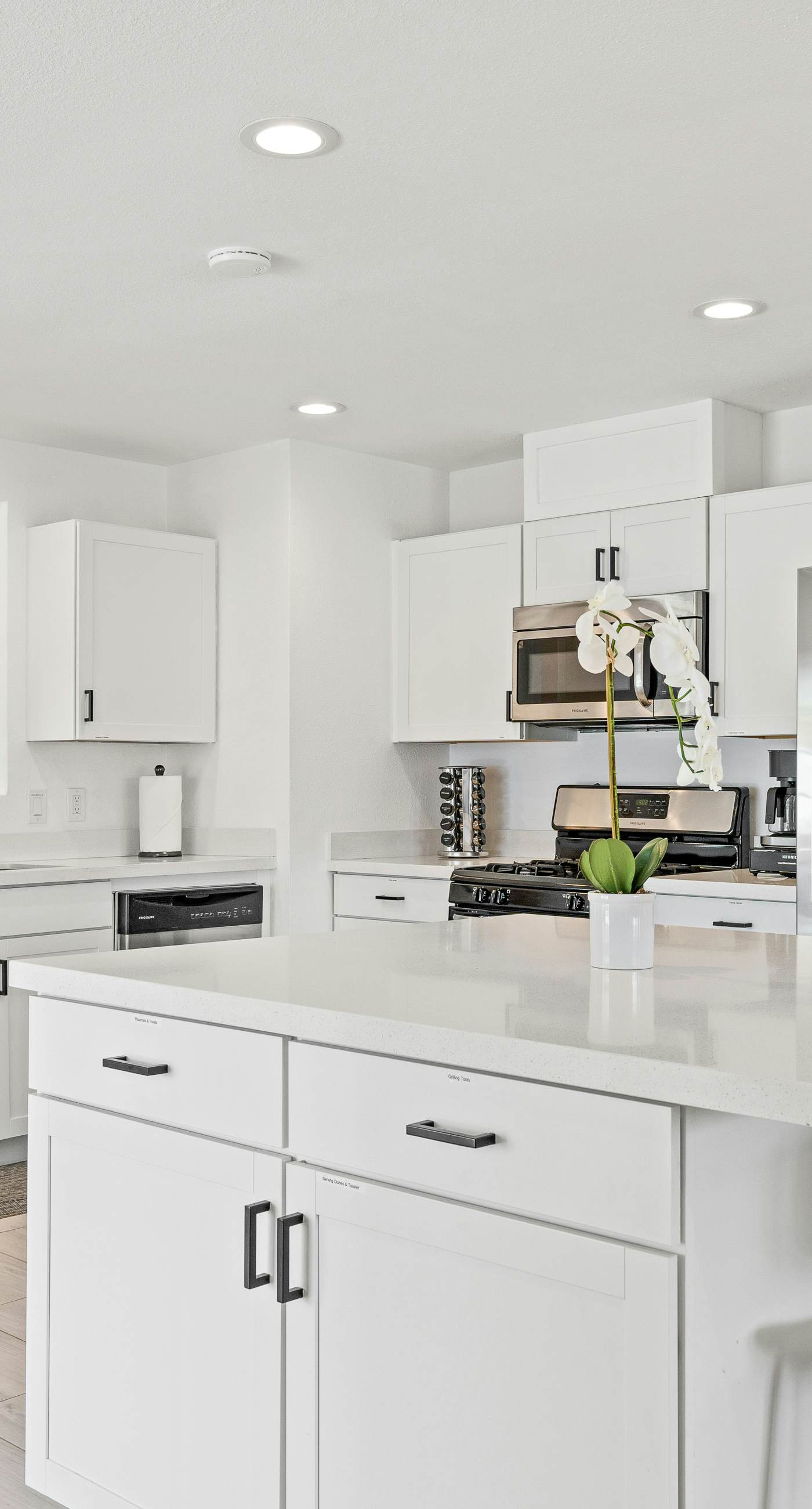 La Vie En Rose - 3901