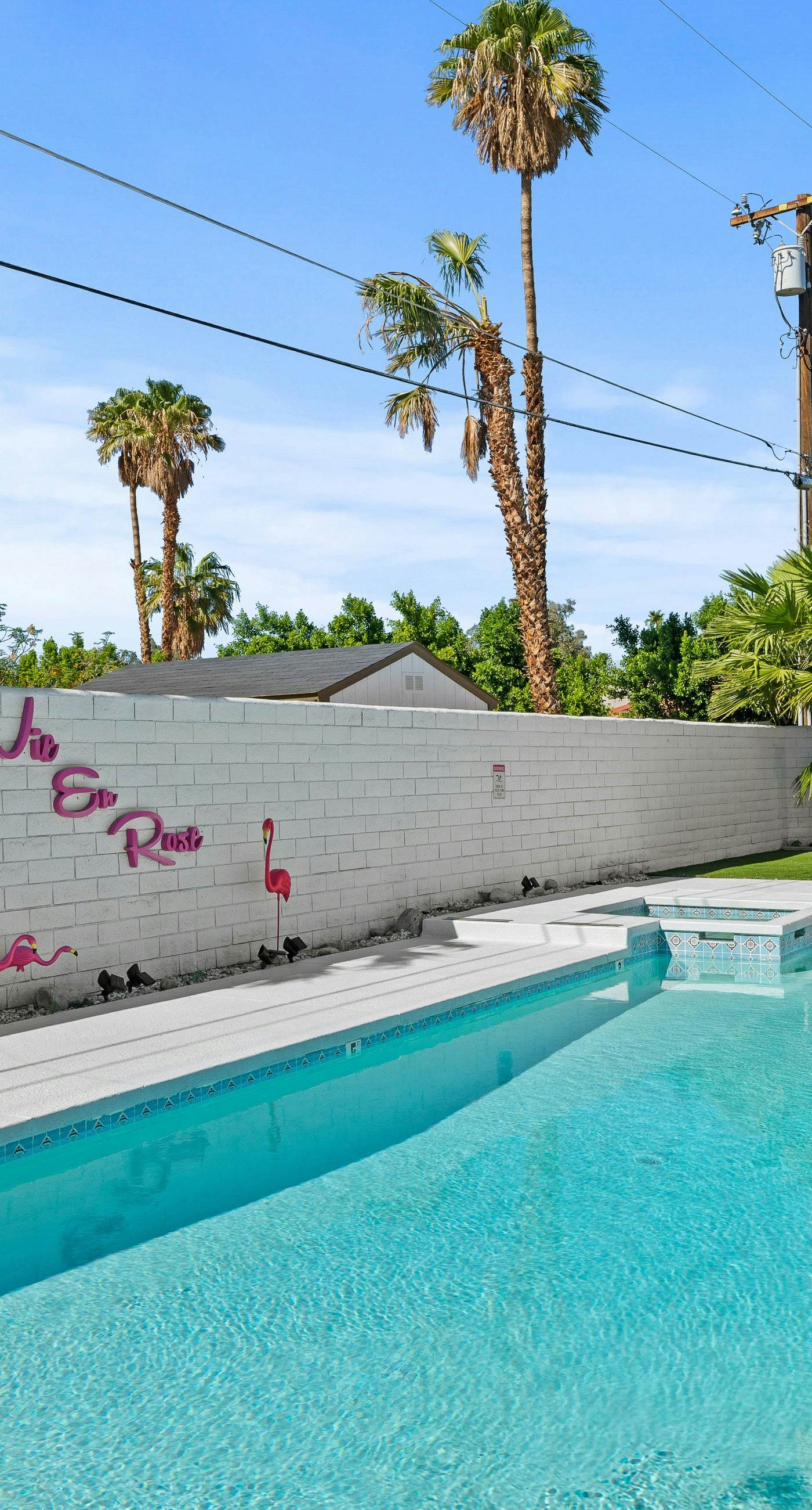 La Vie En Rose - 3901