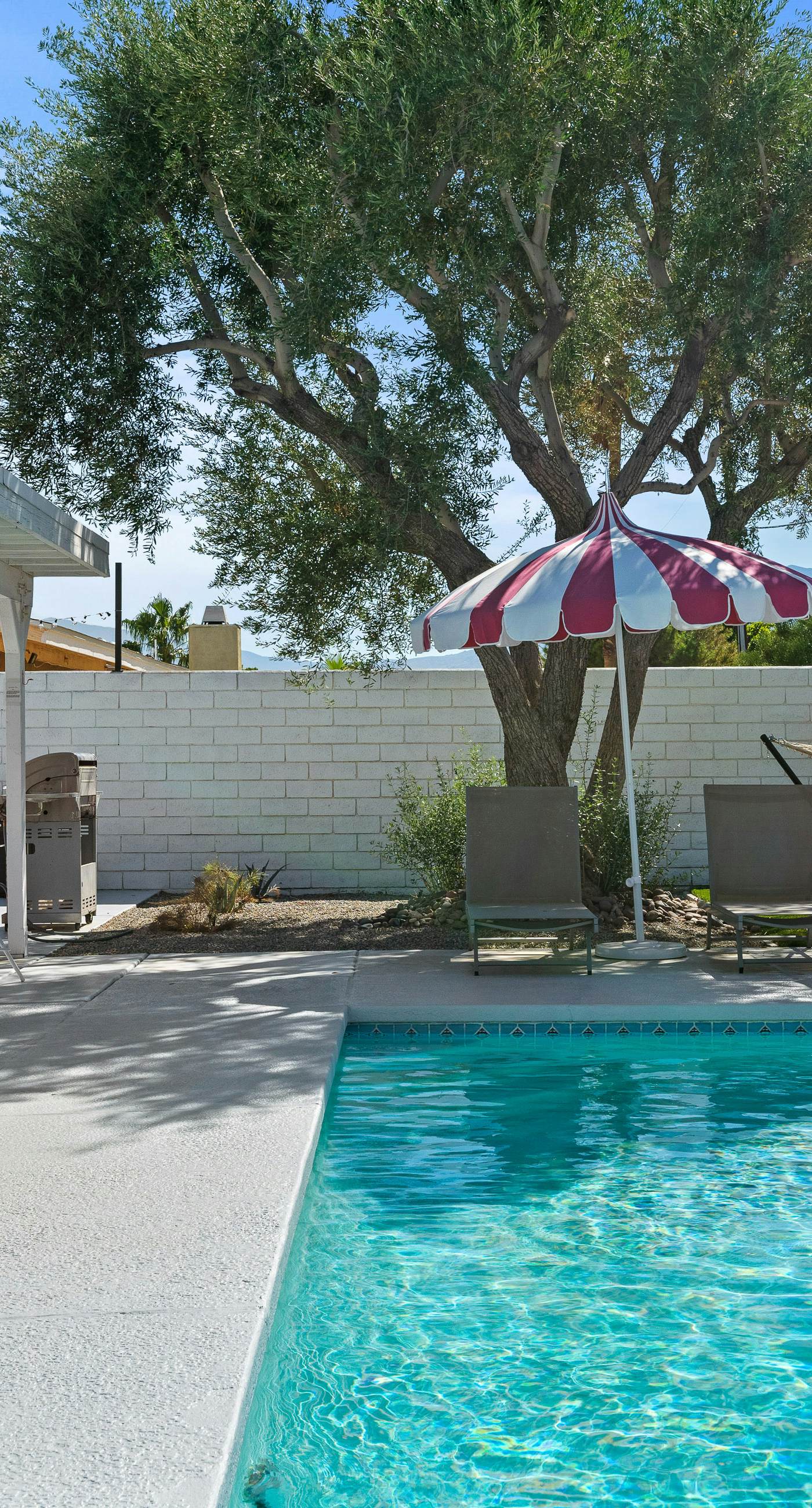 La Vie En Rose - 3901