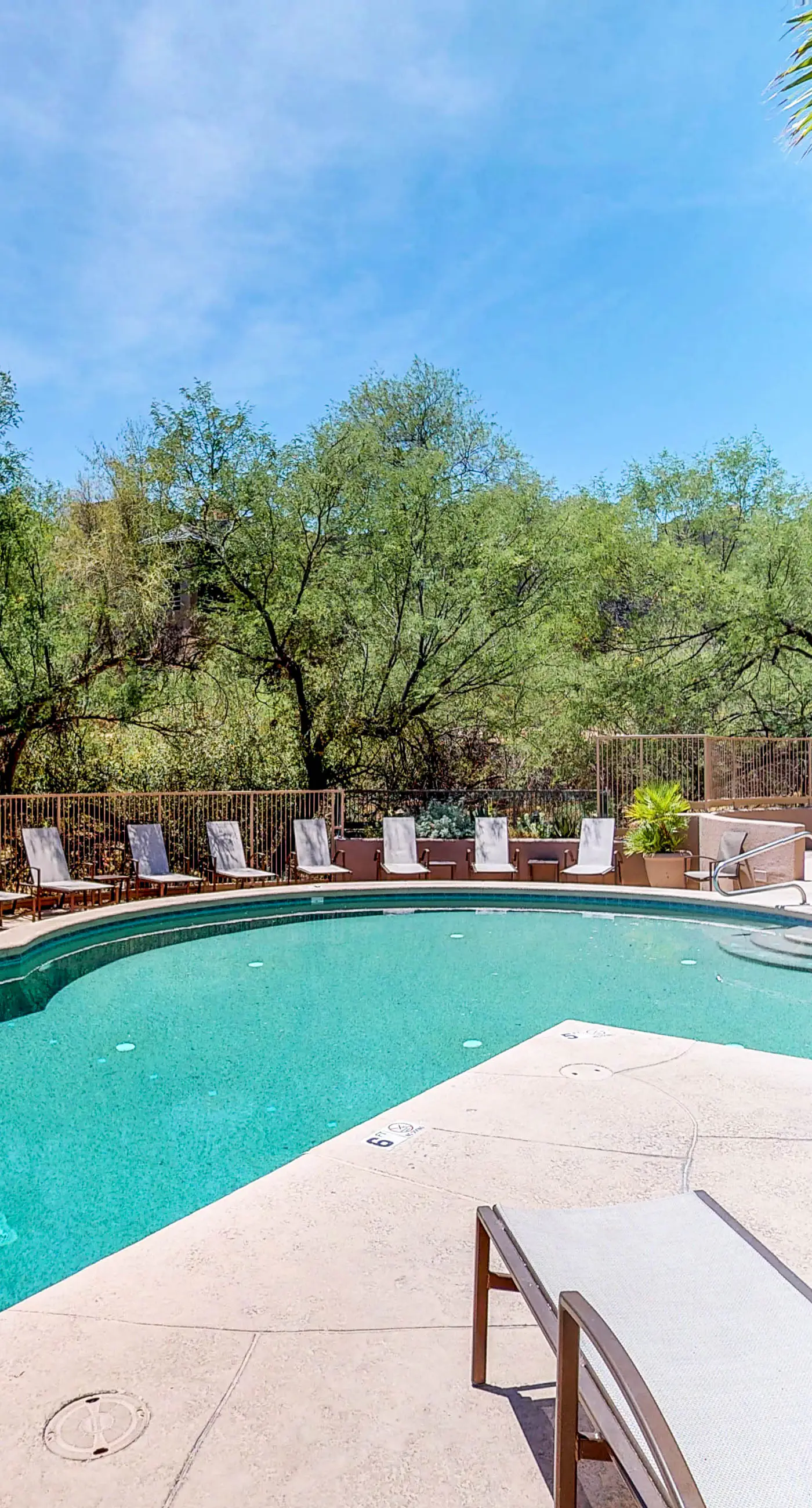 Canyon Oasis- Canyon View #3214