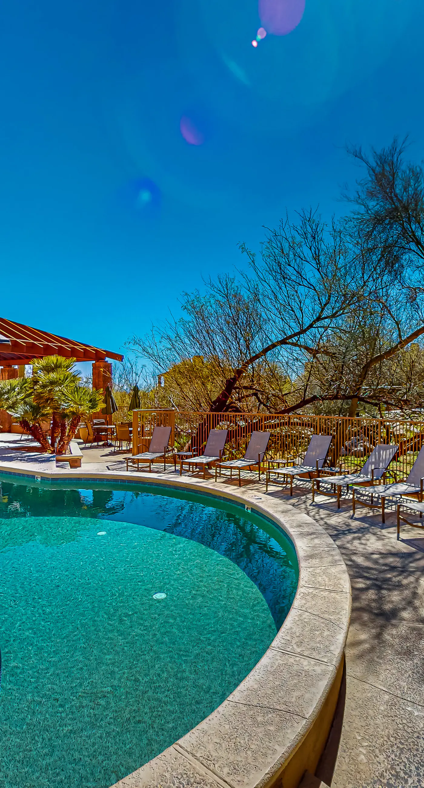Canyon Oasis- Canyon View #3214