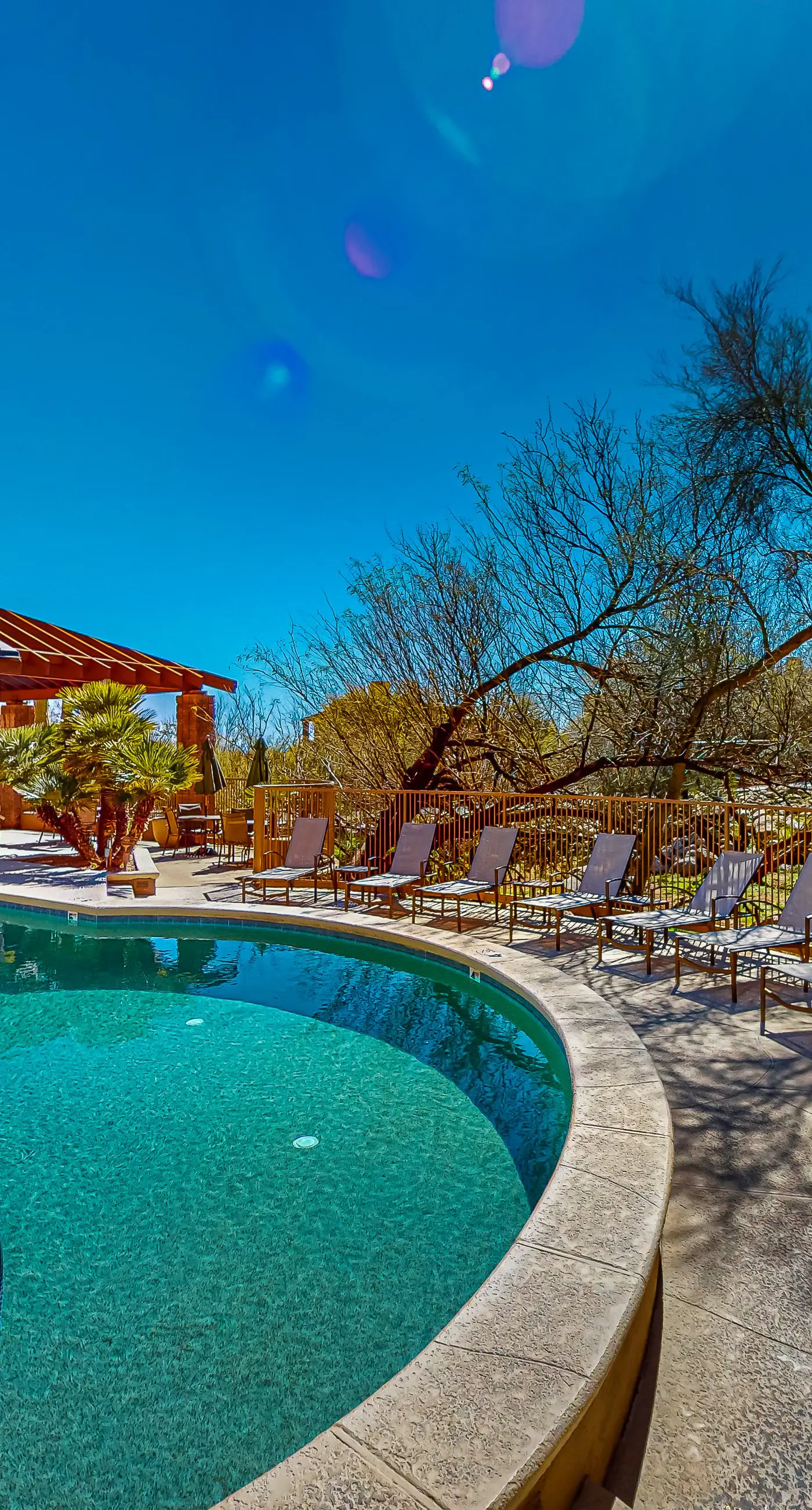 Canyon Oasis- Canyon View #3214