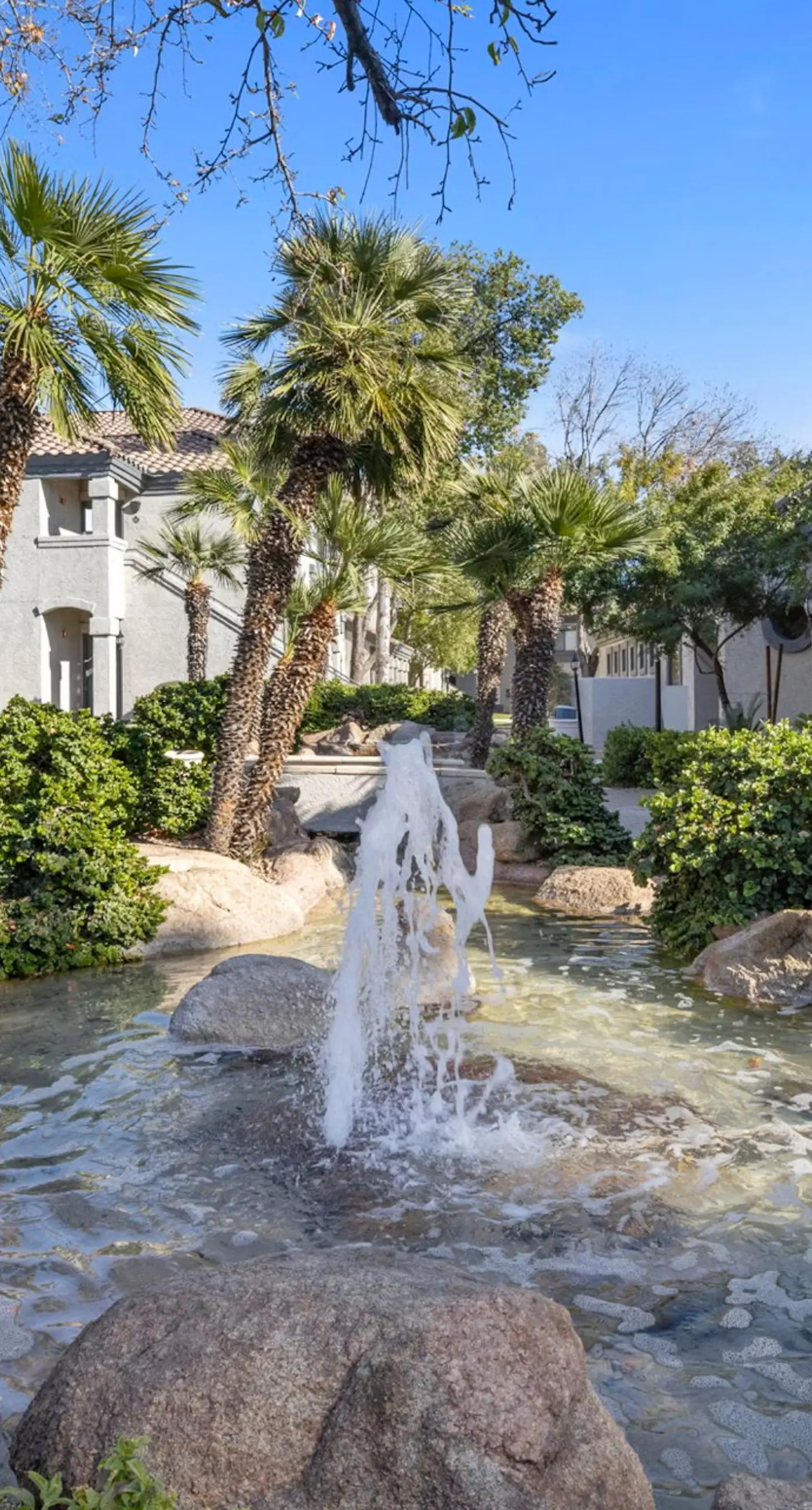 Scottsdale Bliss