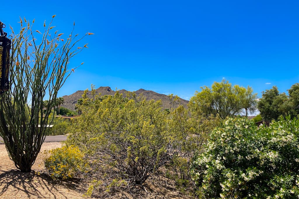 Ground-floor condo with on-site pool, grills, patio, & central AC