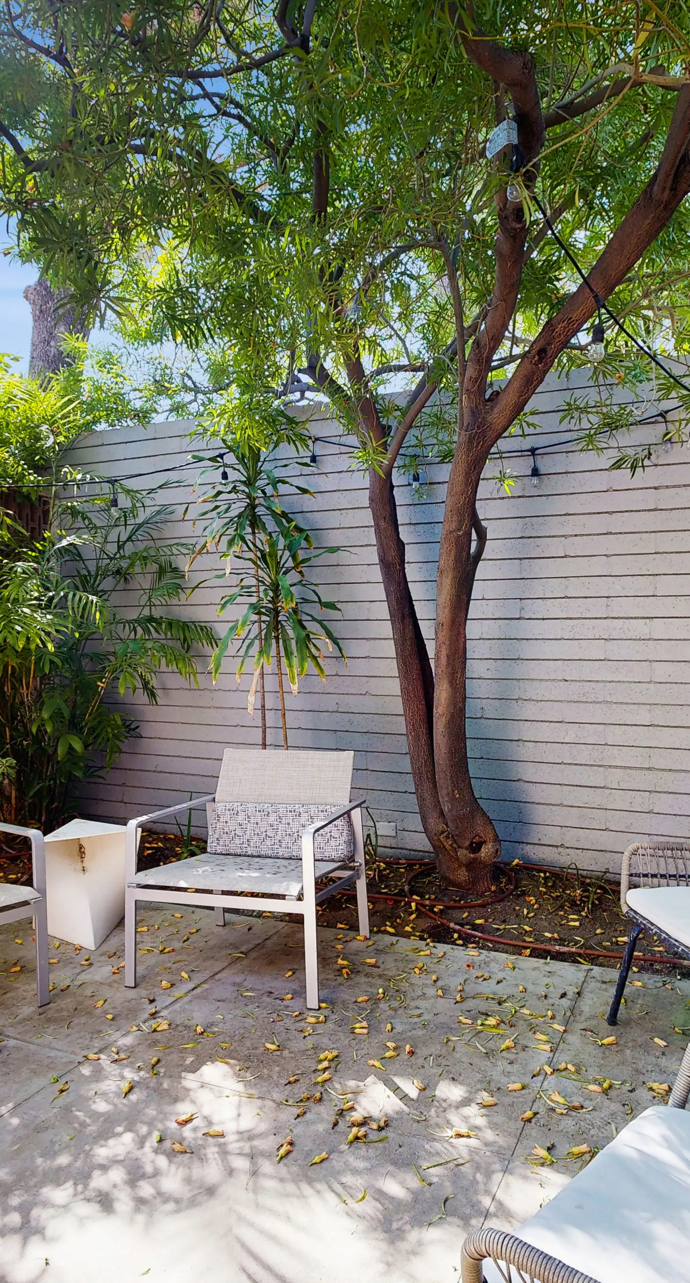 Racquet Club Cottage - Palm Springs House ID #271