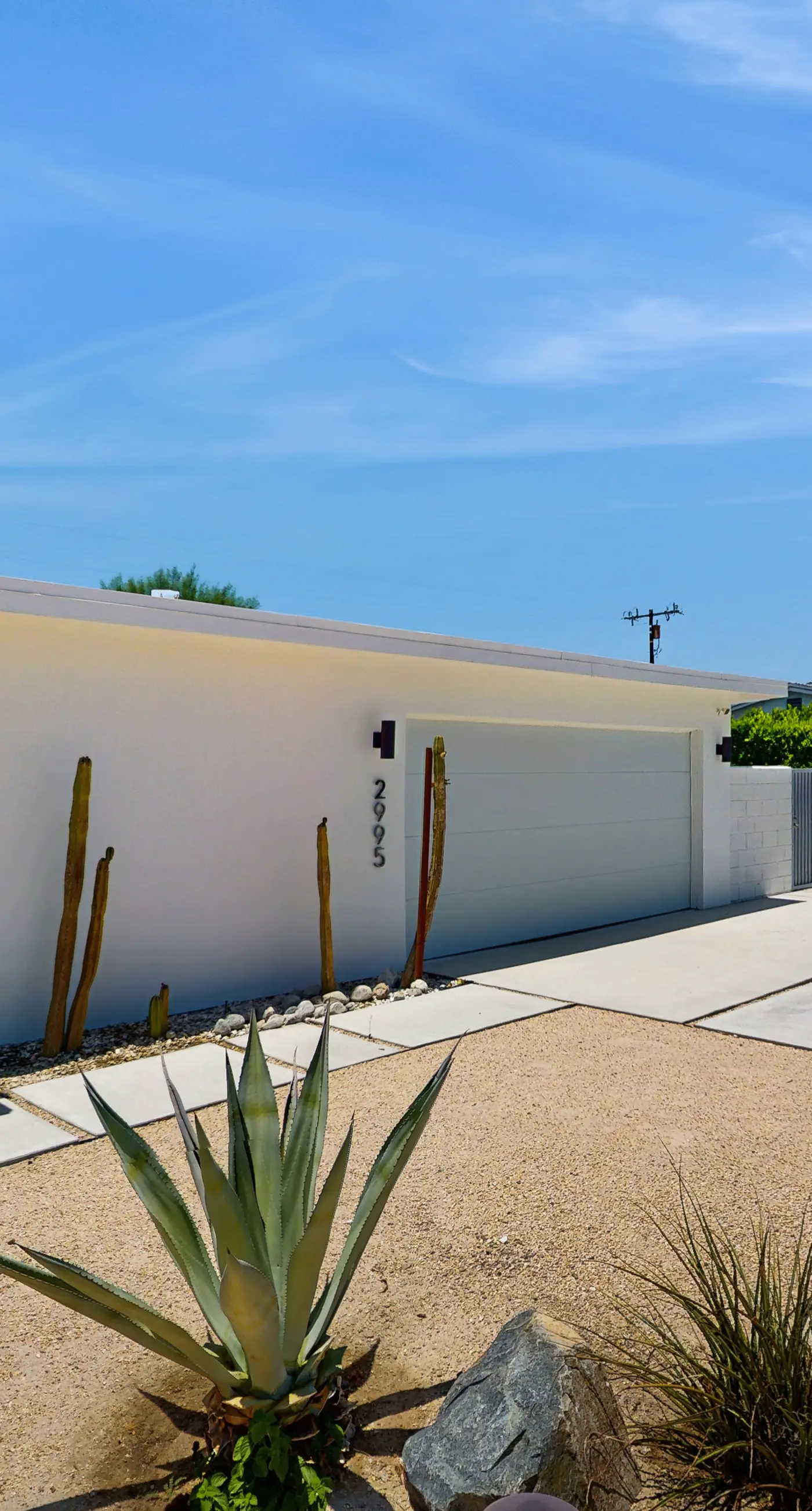 Desert Elegance - 4101