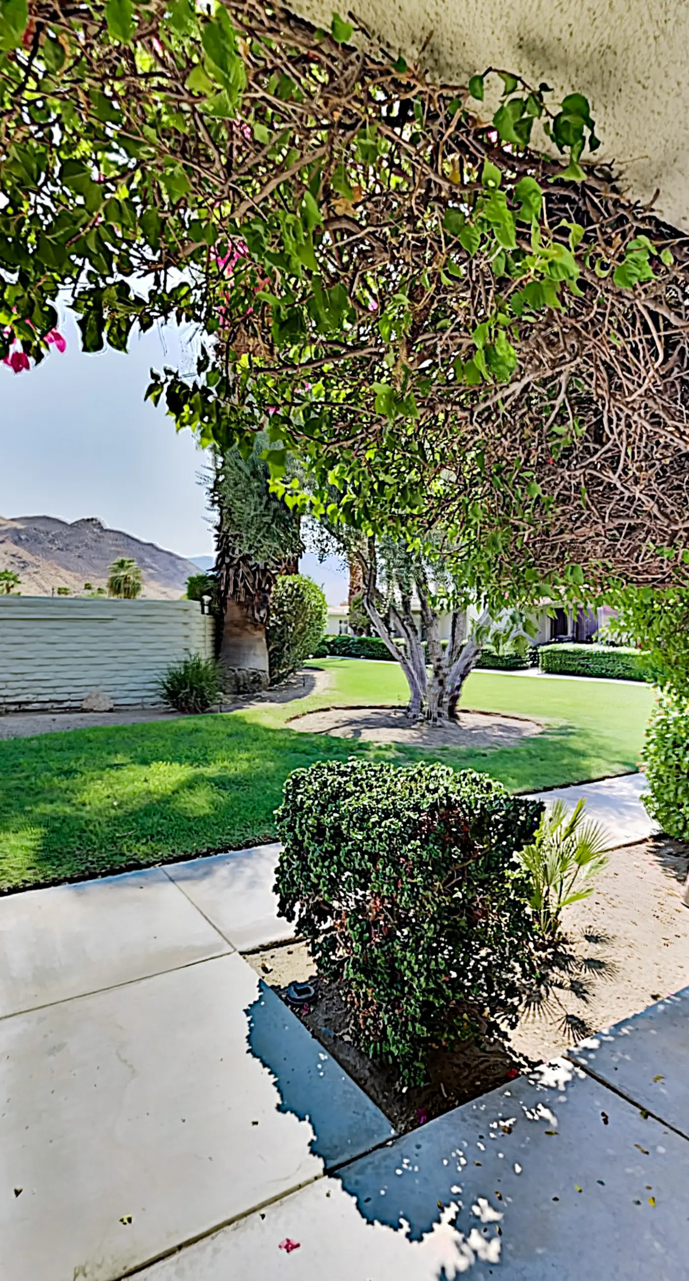 The CoCo Cabana Unit 31 - 69256