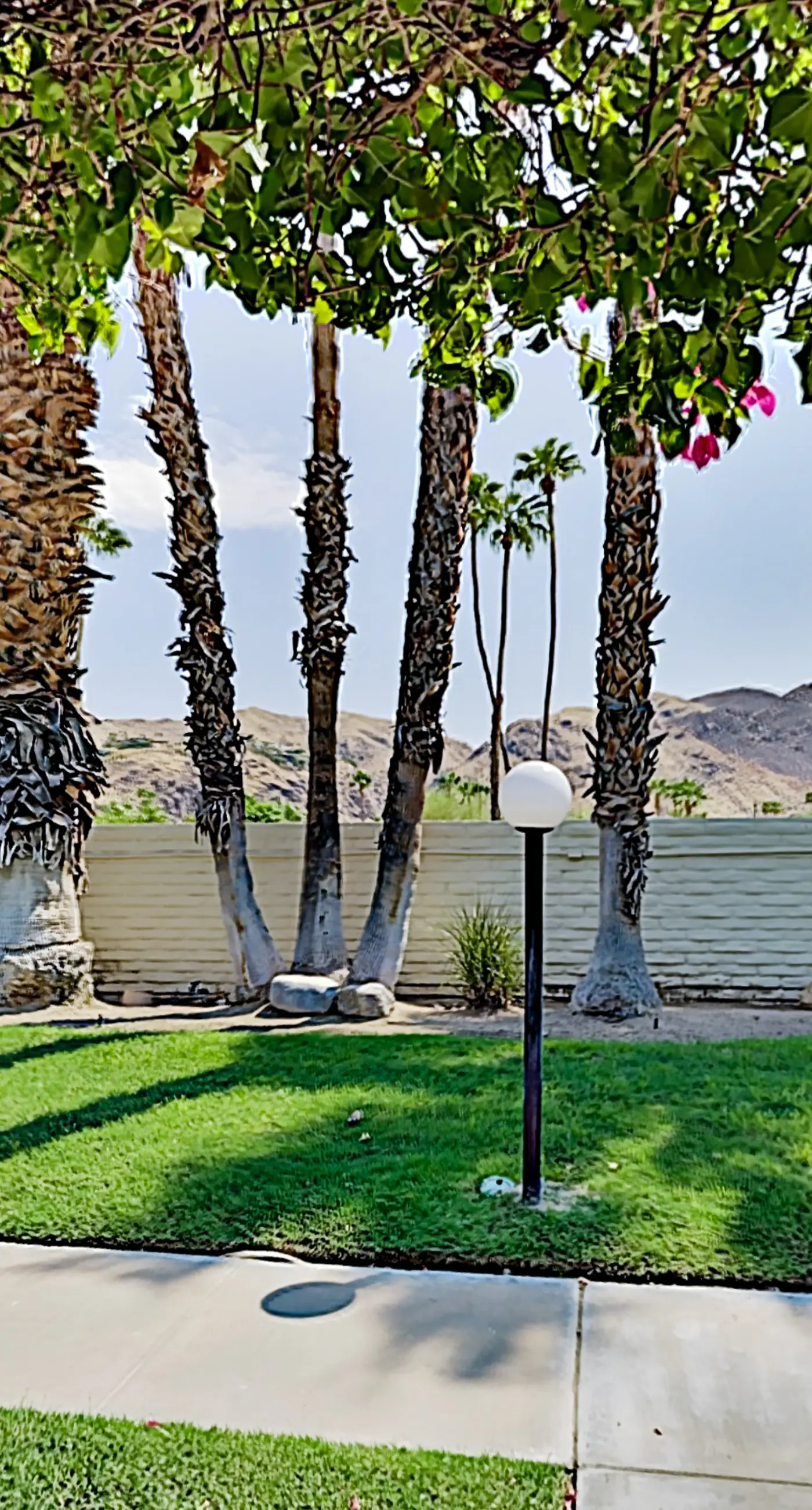 The CoCo Cabana Unit 31 - 69256