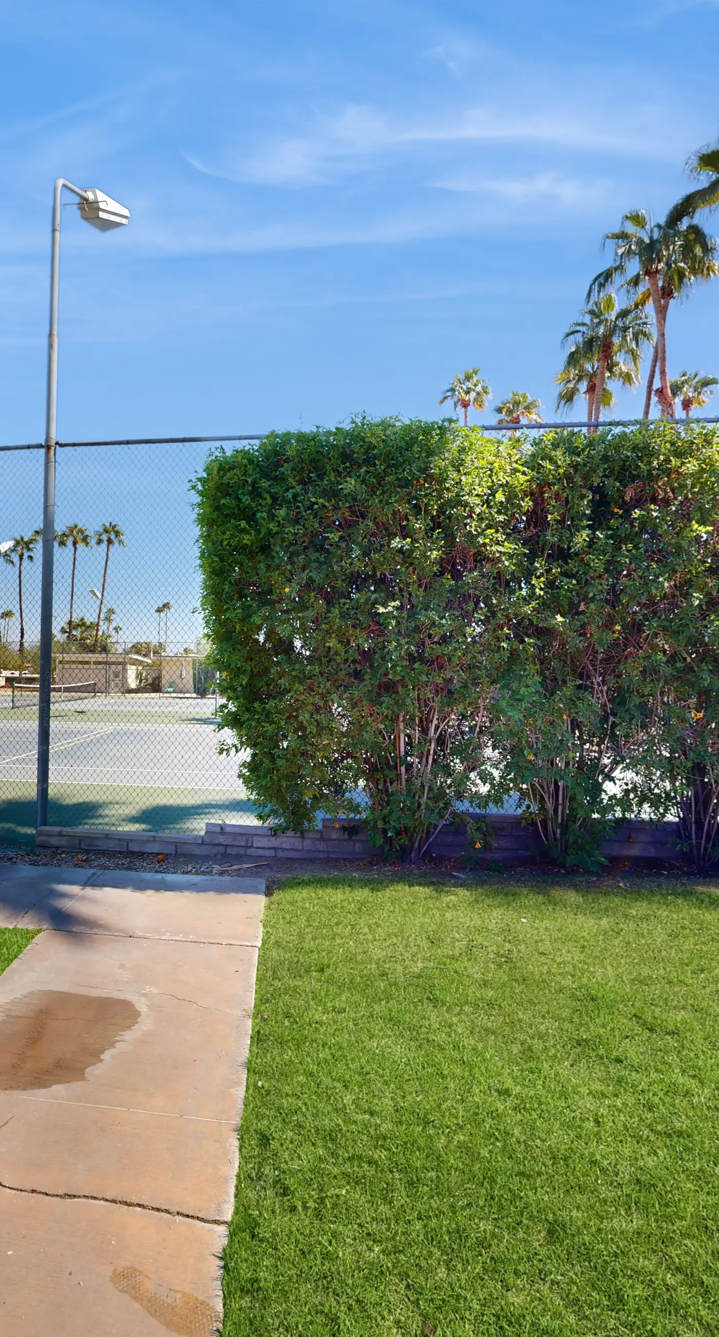 The CoCo Cabana Unit 31 - 69256