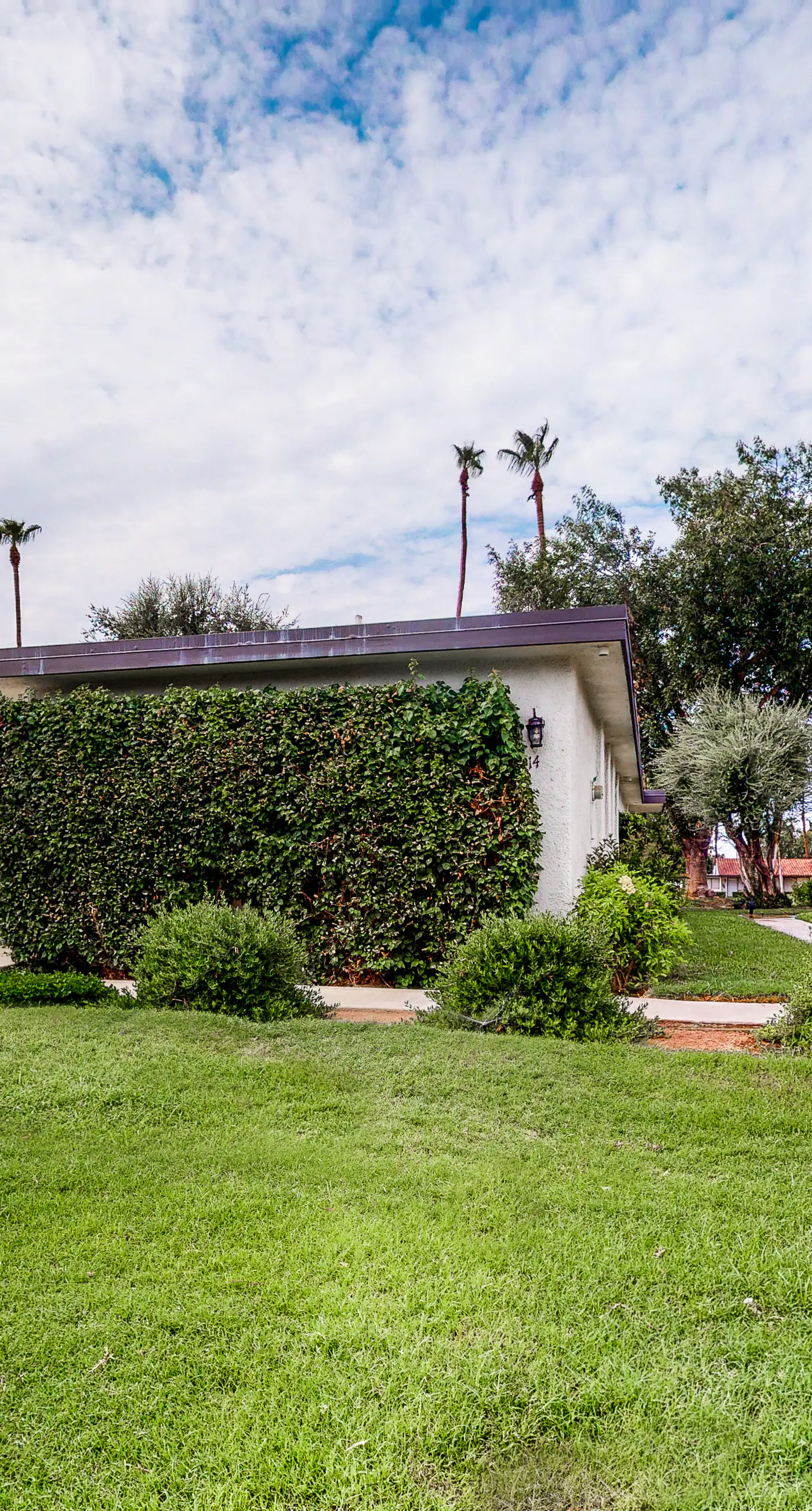 Modern Desert Retreat