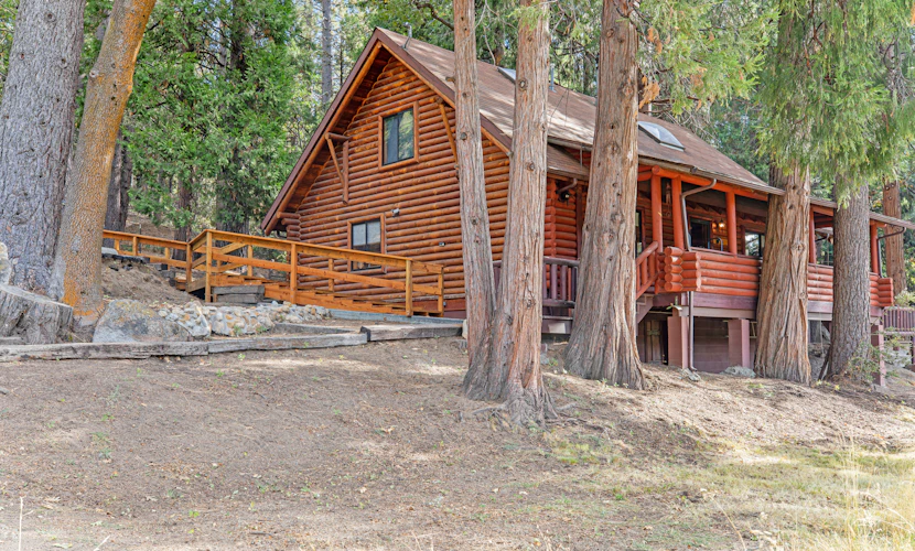 Dog-friendly cabin in the woods with WiFi, wood stove, and private washer/dryer