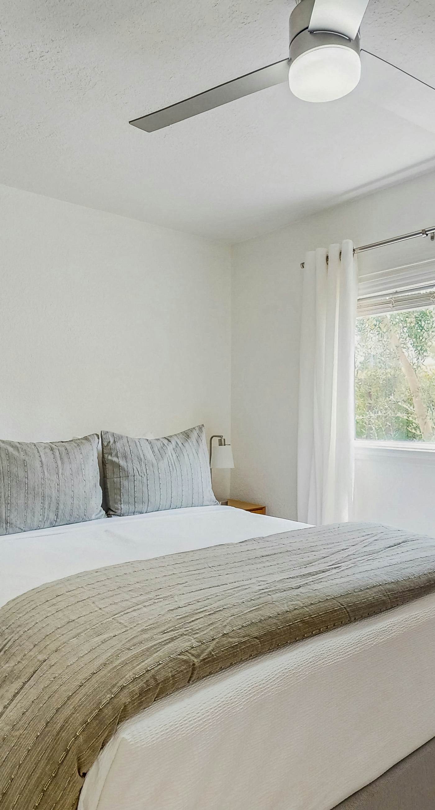 Jewel of the Desert - 259342