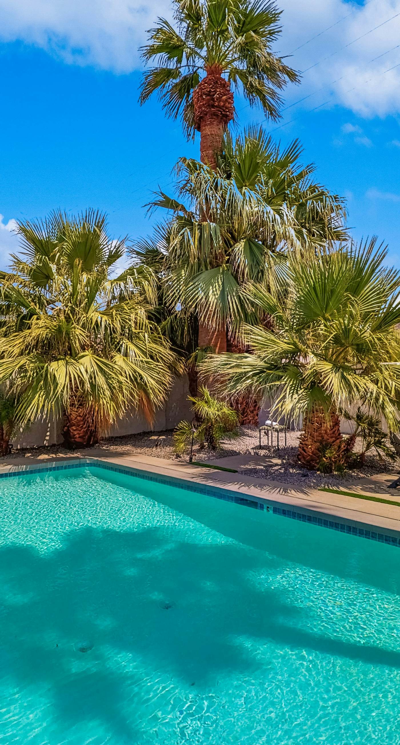 Jewel of the Desert - 259342