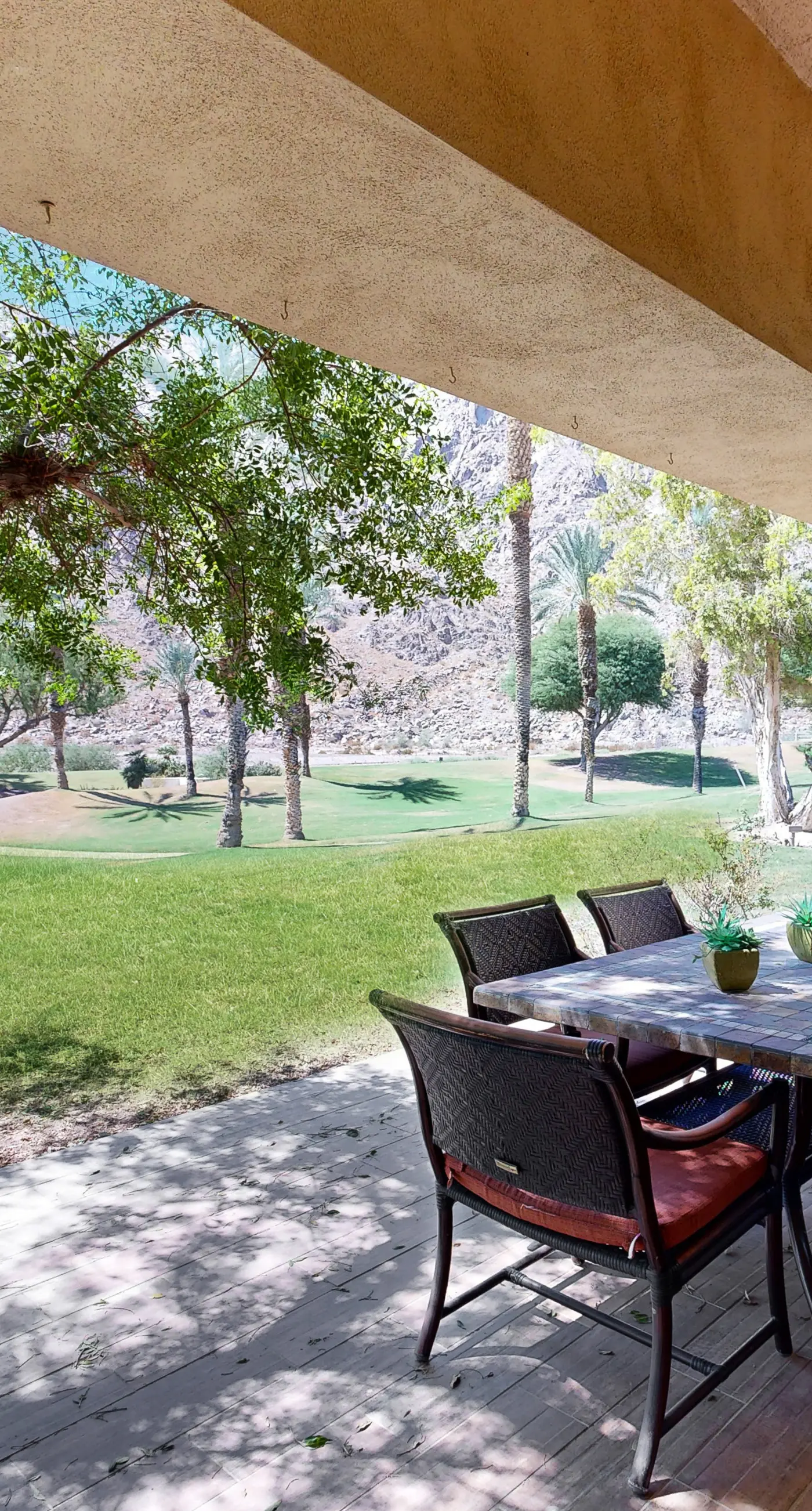 Riviera Dreams