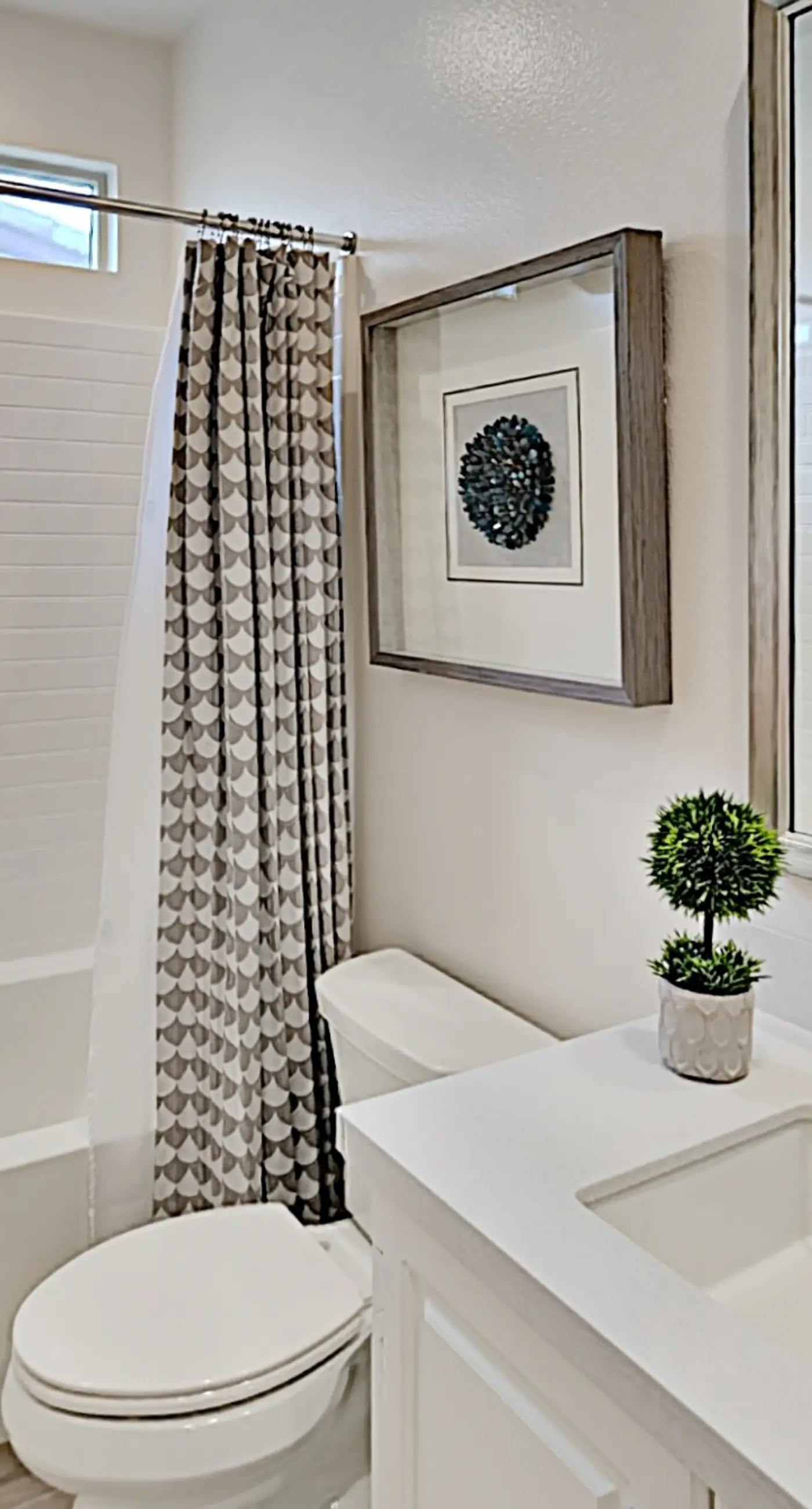 Murray Canyon Manor  -31-Day Minimum Rental