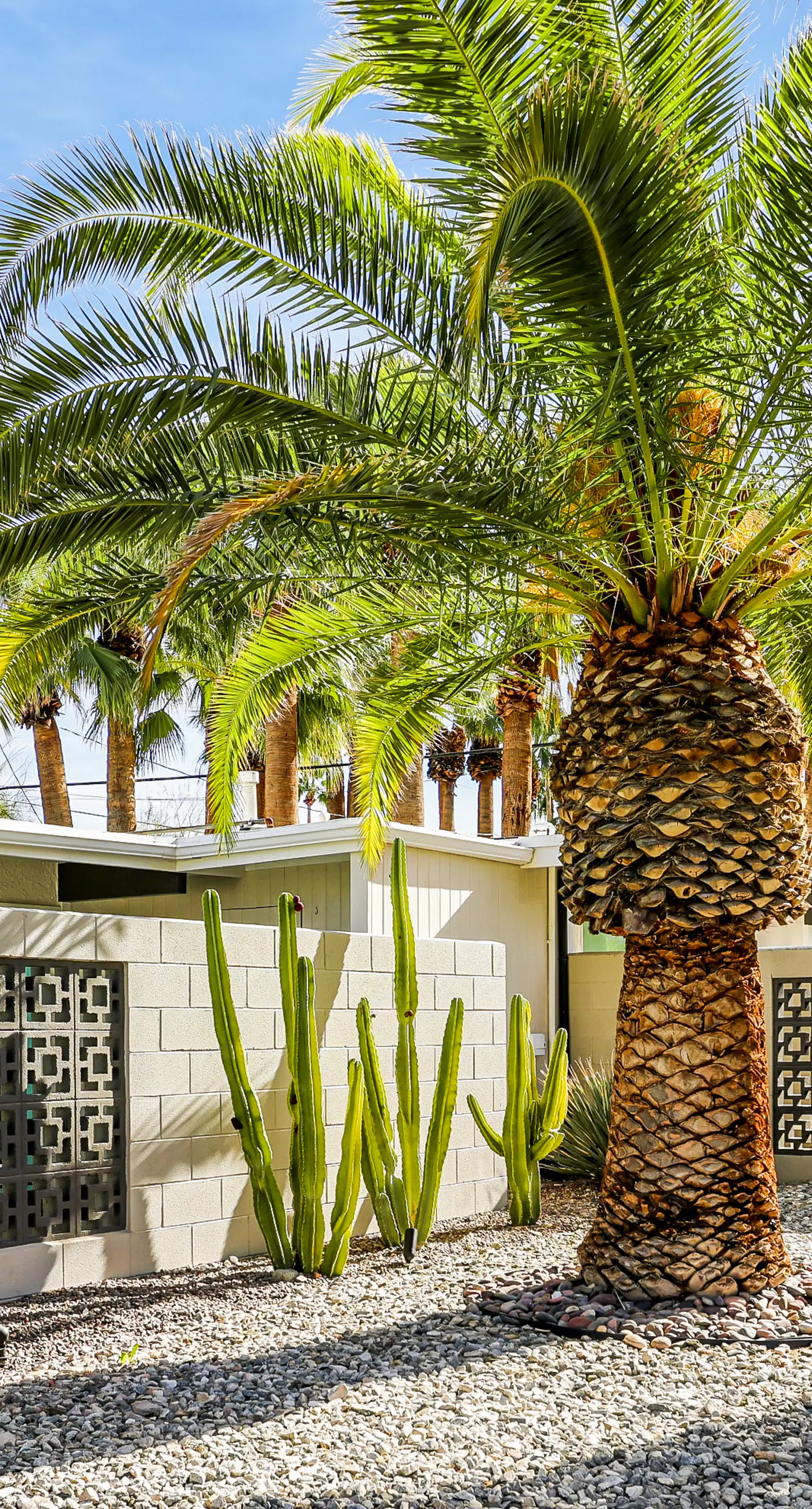 The Burton Estate - 3992