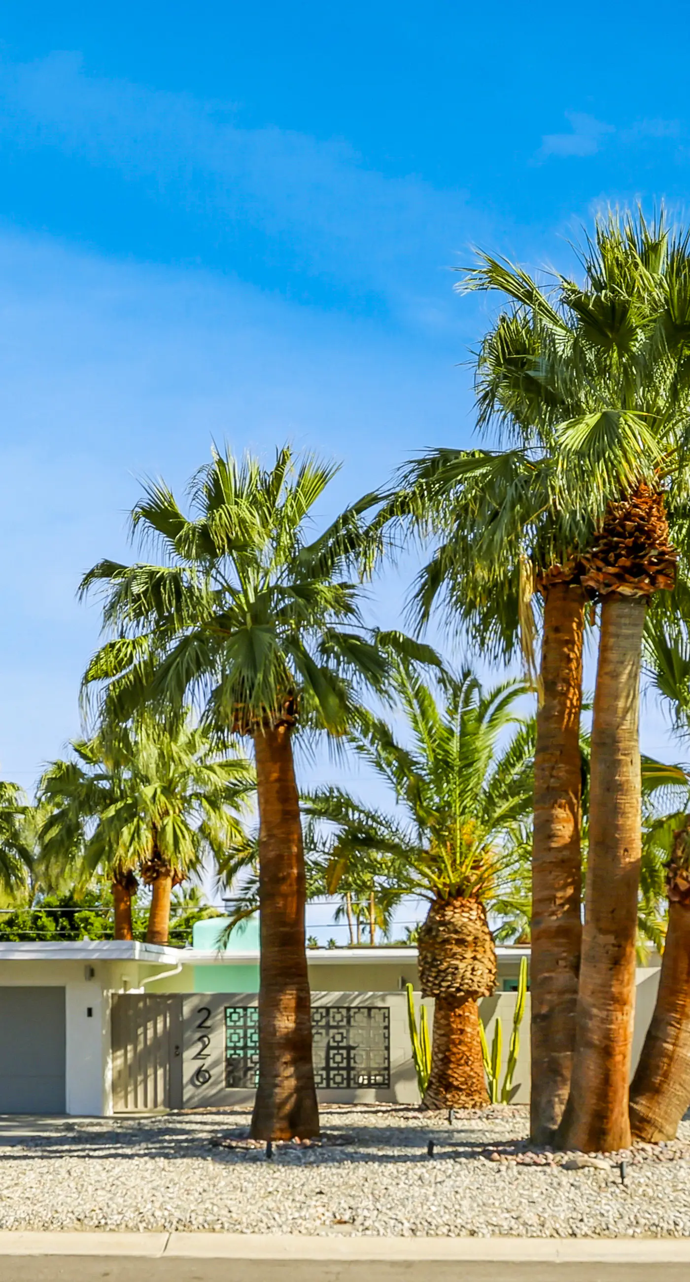 The Burton Estate - 3992