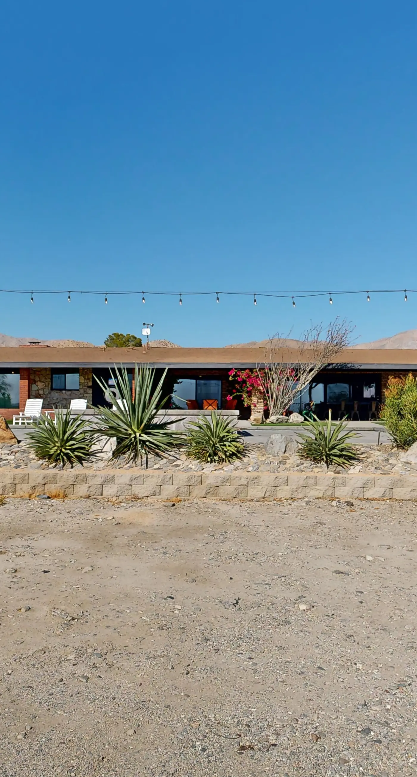 Saguaro Gardens Desert Retreat