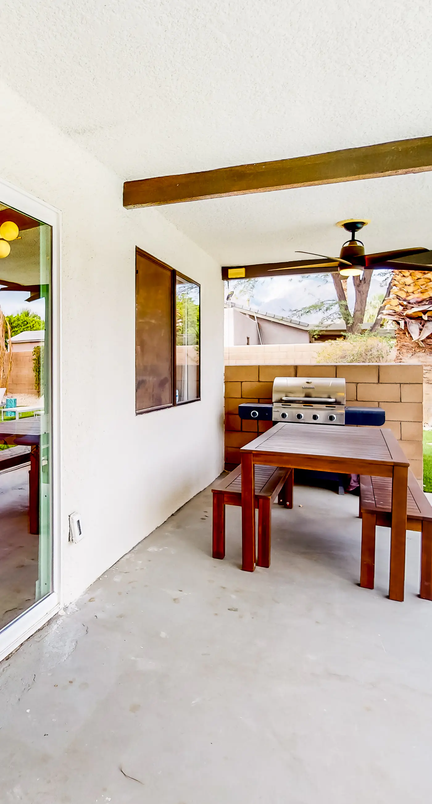 Sonoran Stunner - 50518