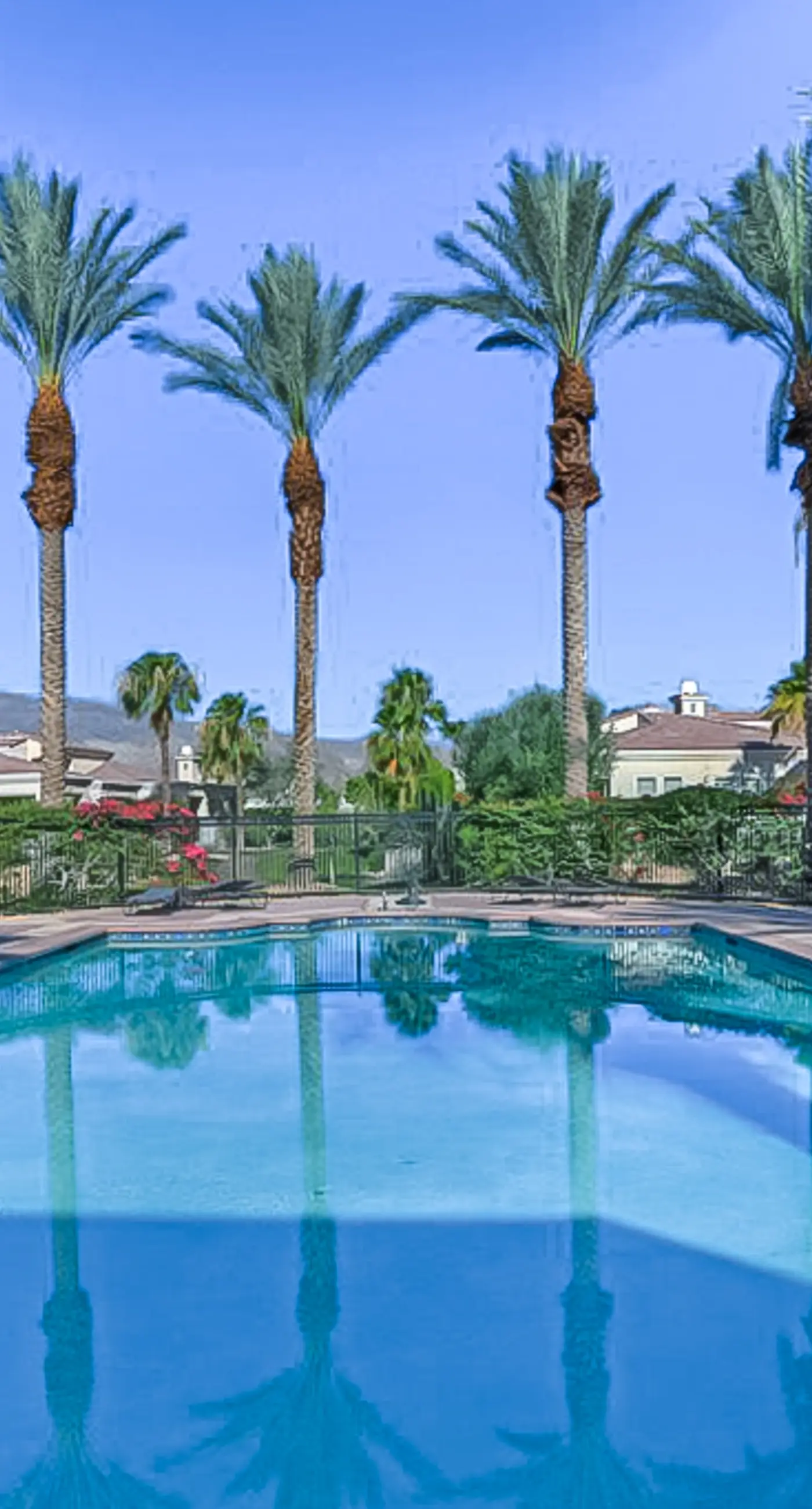 Puerta Azul Paradise-260570
