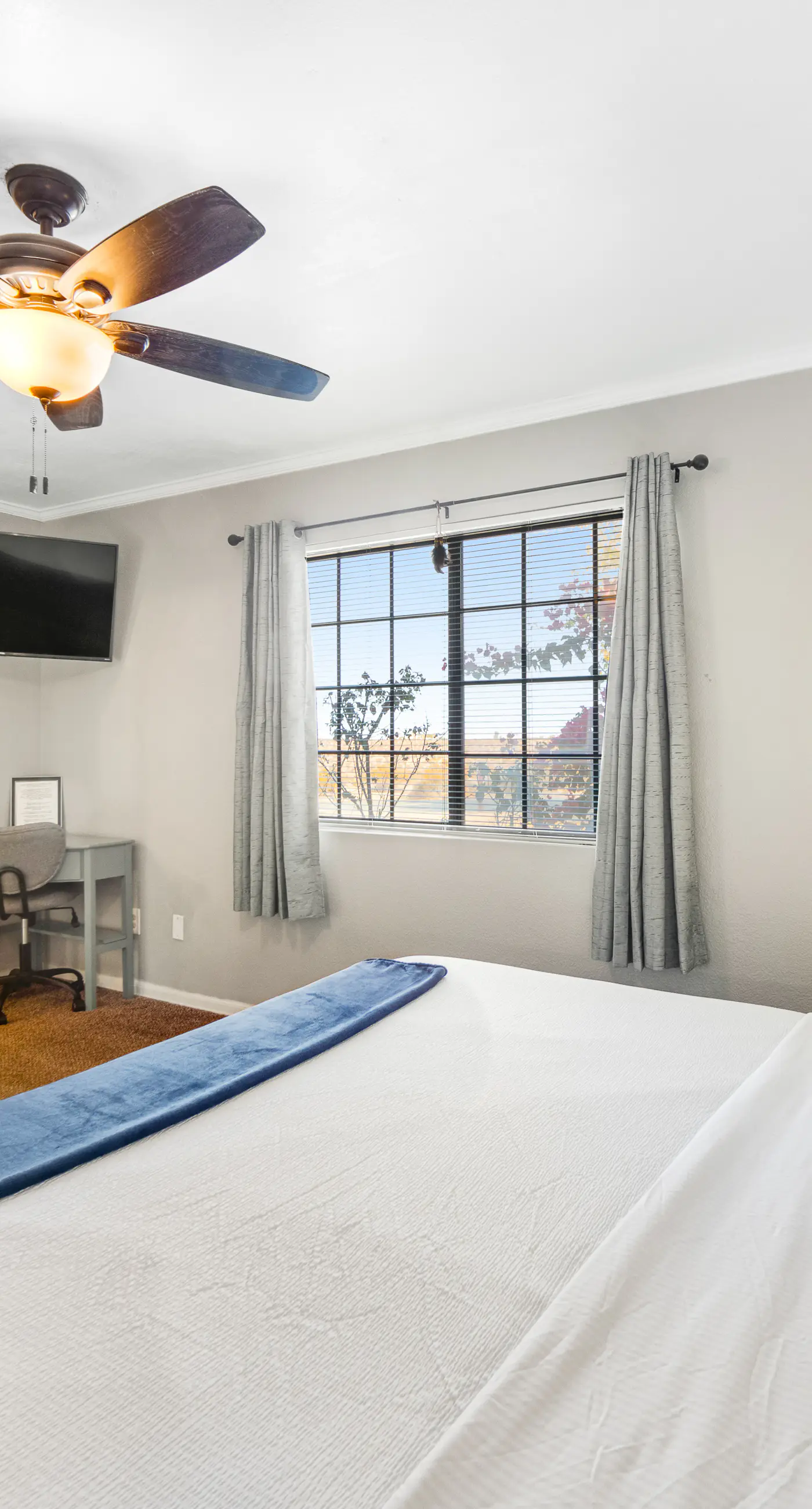 Blue Canyon Paradise