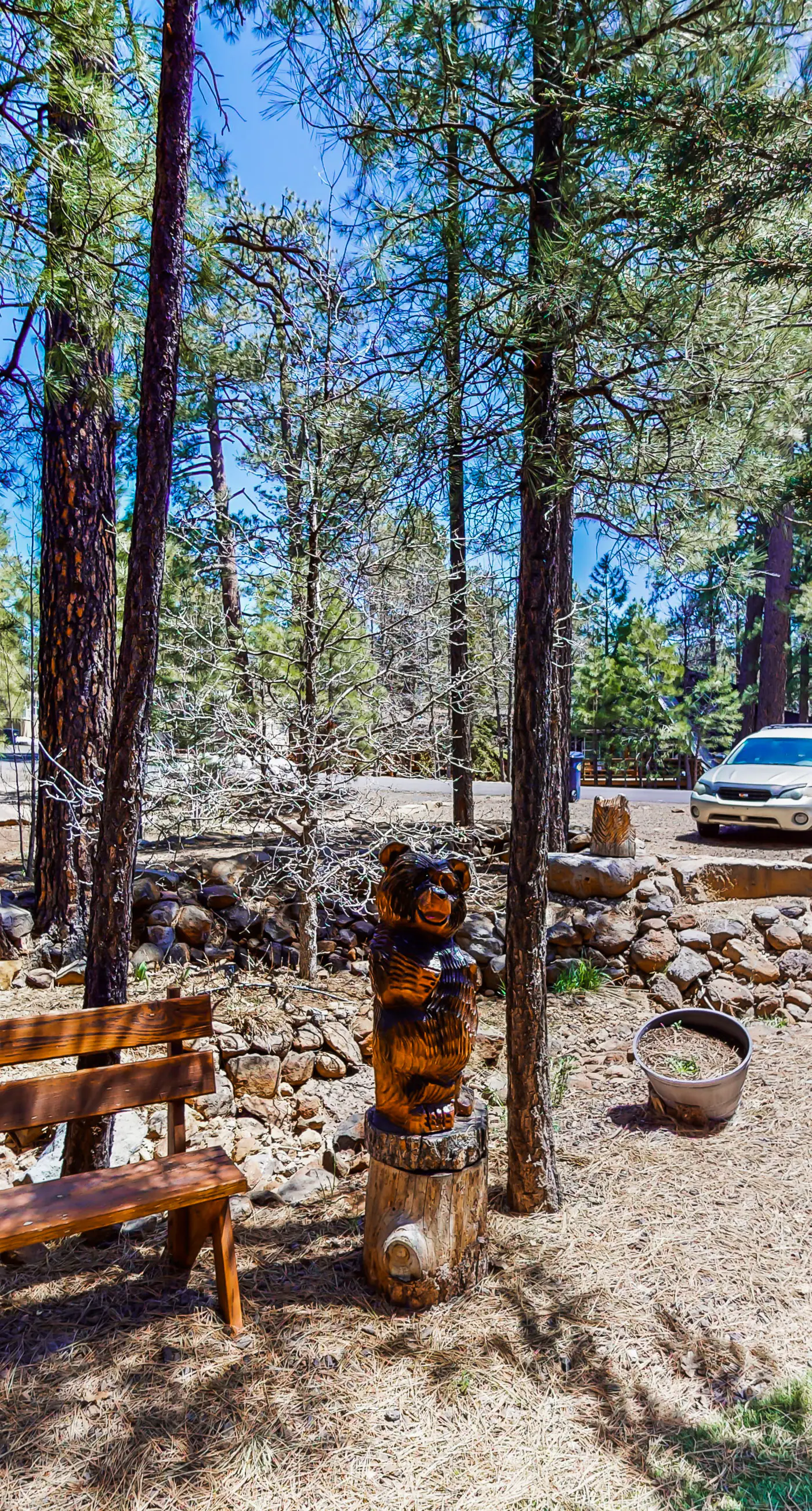 The Bear House in Munds Park