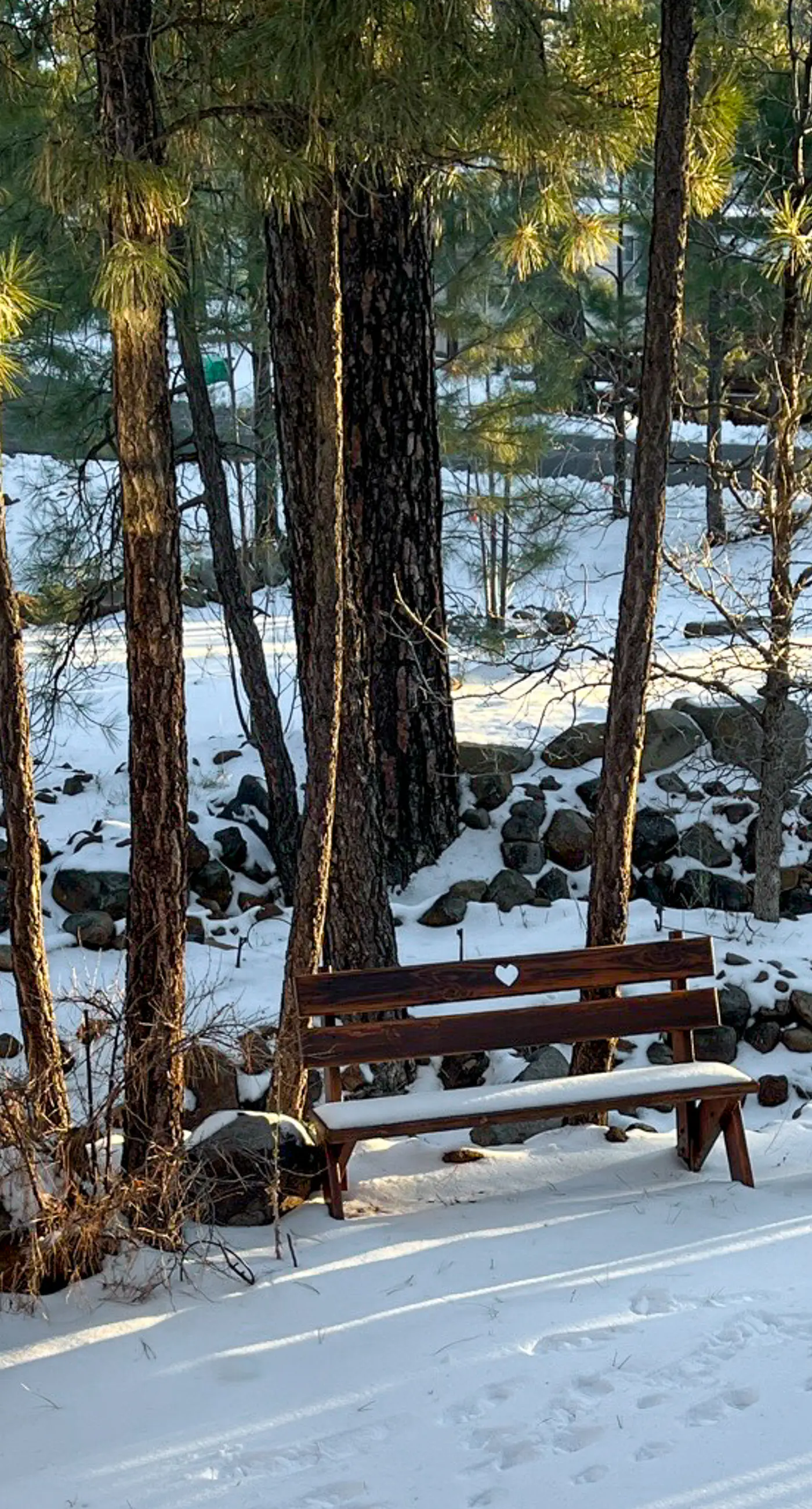 The Bear House in Munds Park