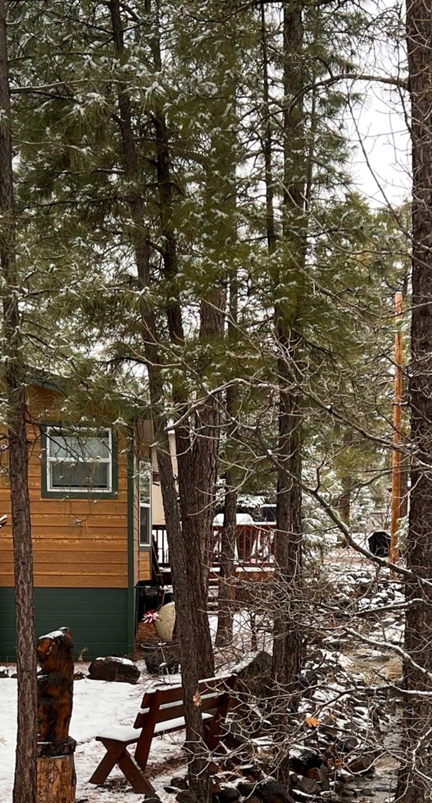 The Bear House in Munds Park