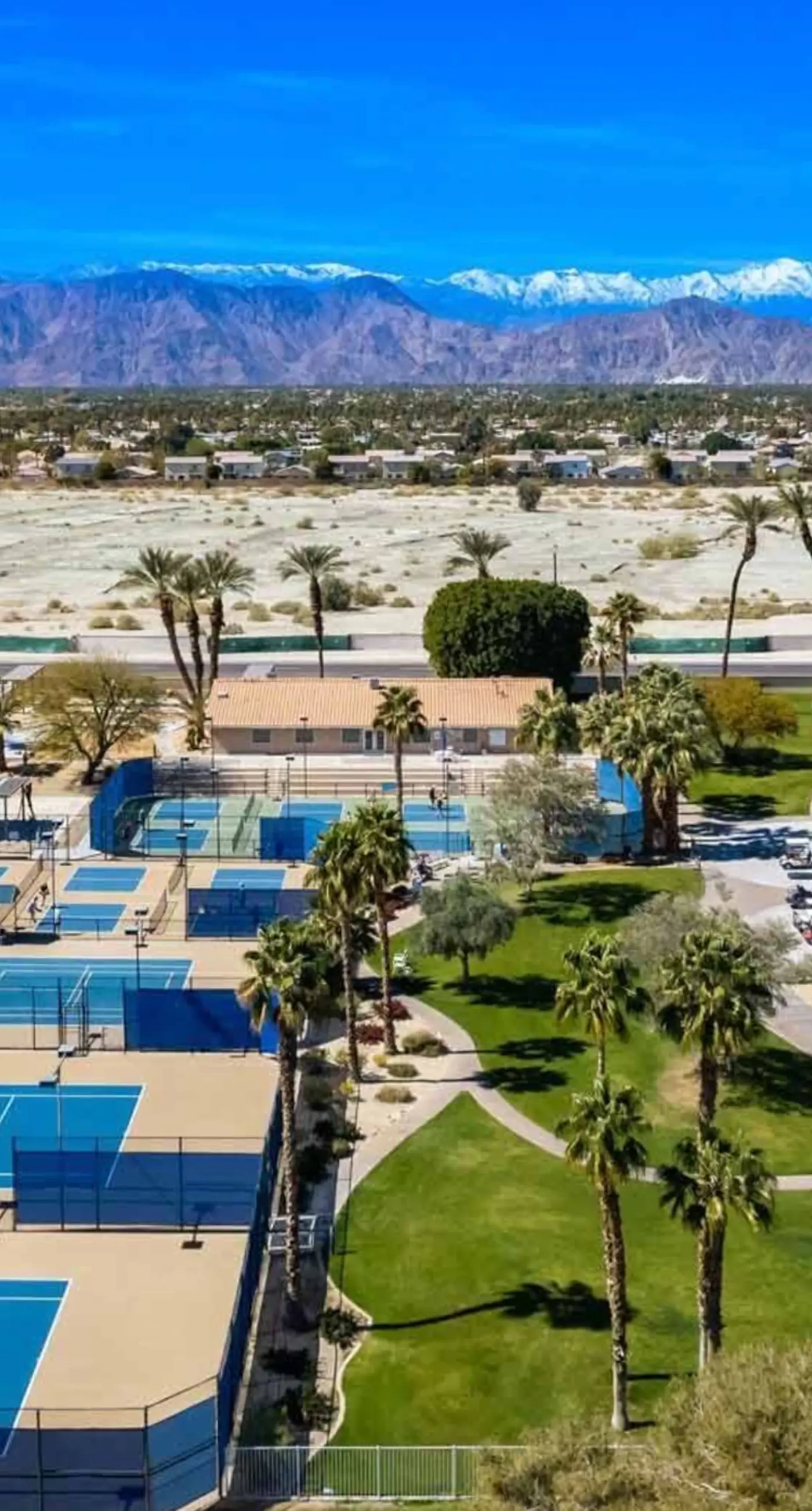 Palm Oasis