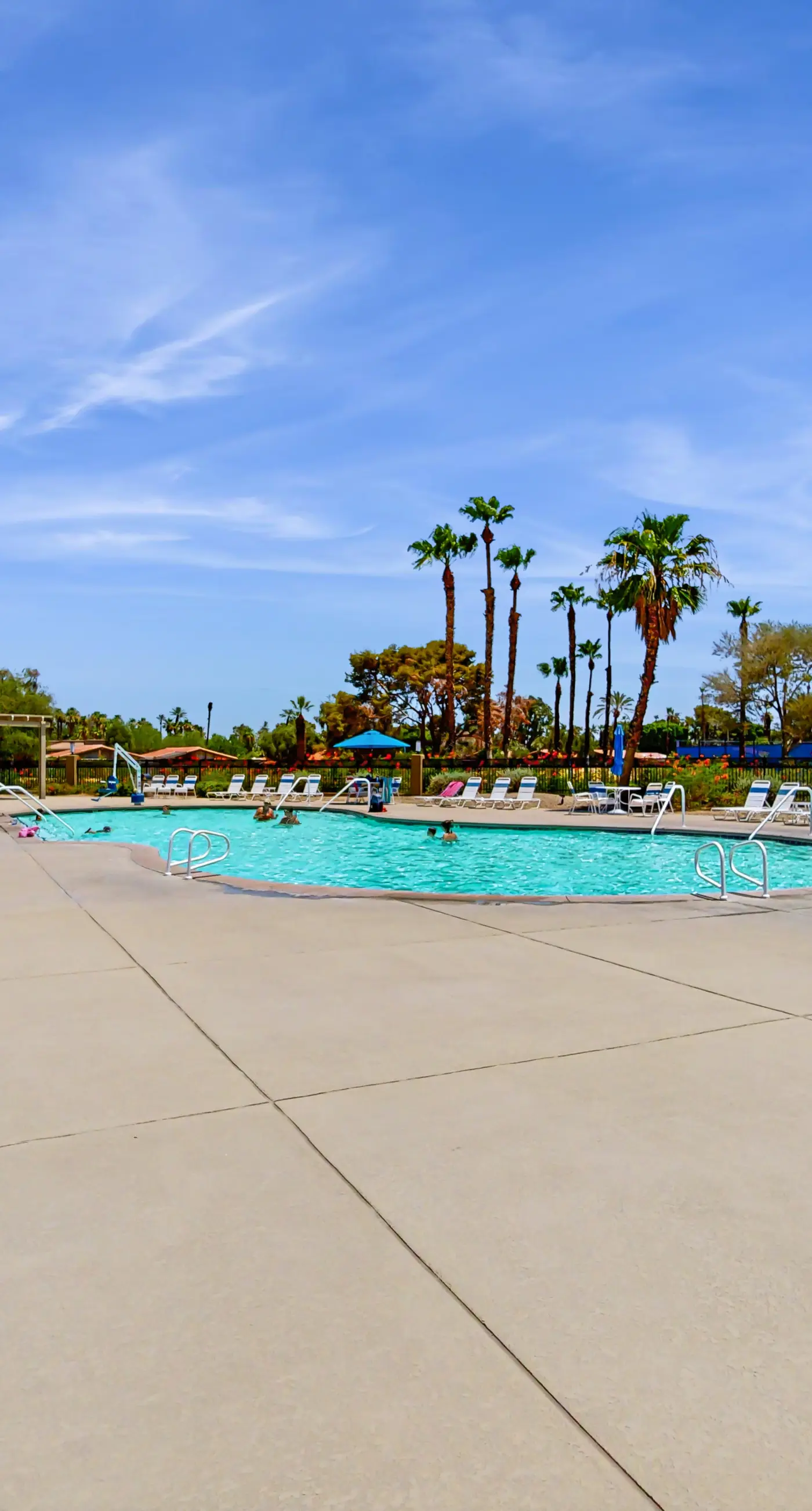 Palm Oasis