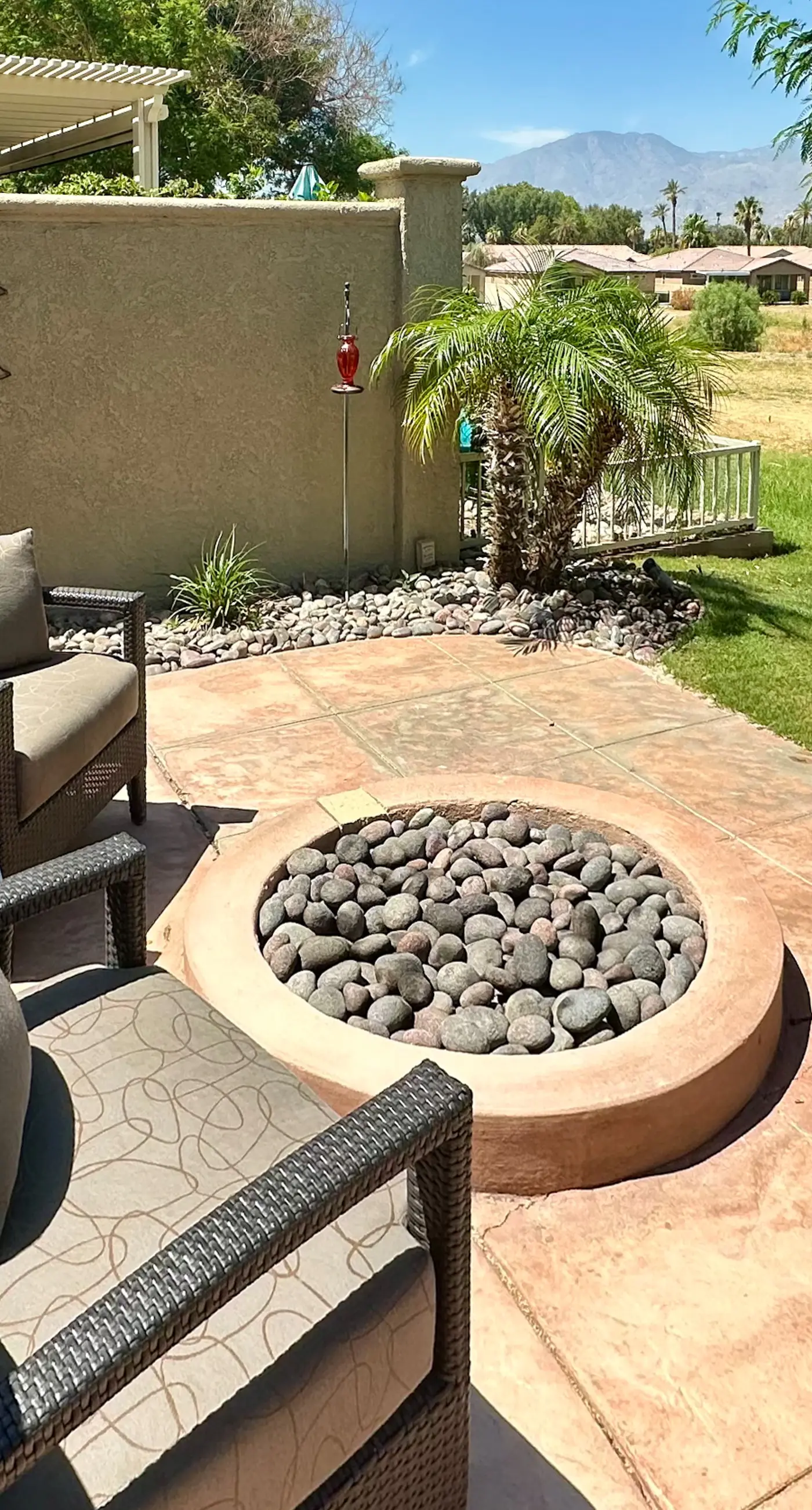 Palm Oasis