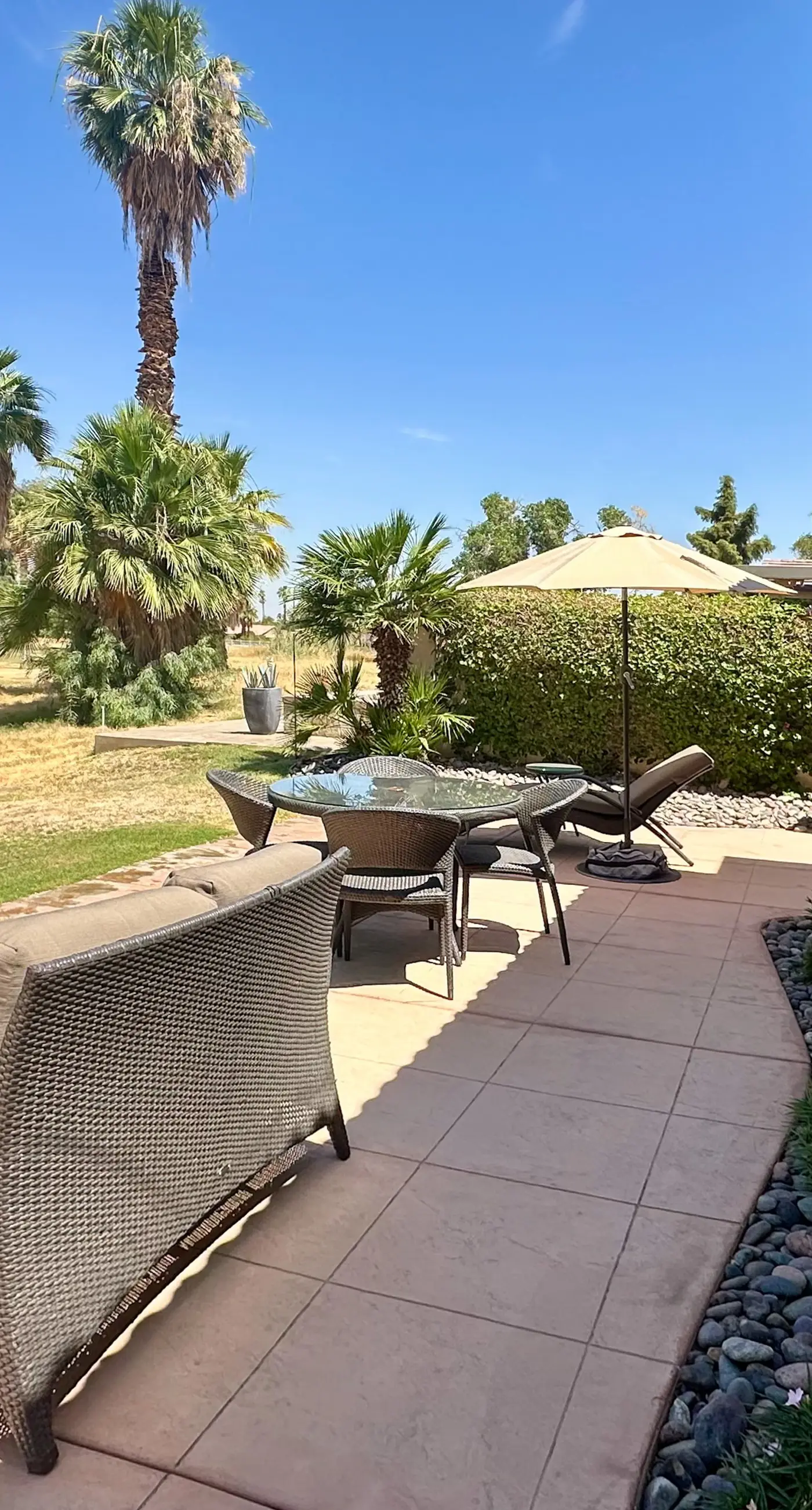 Palm Oasis