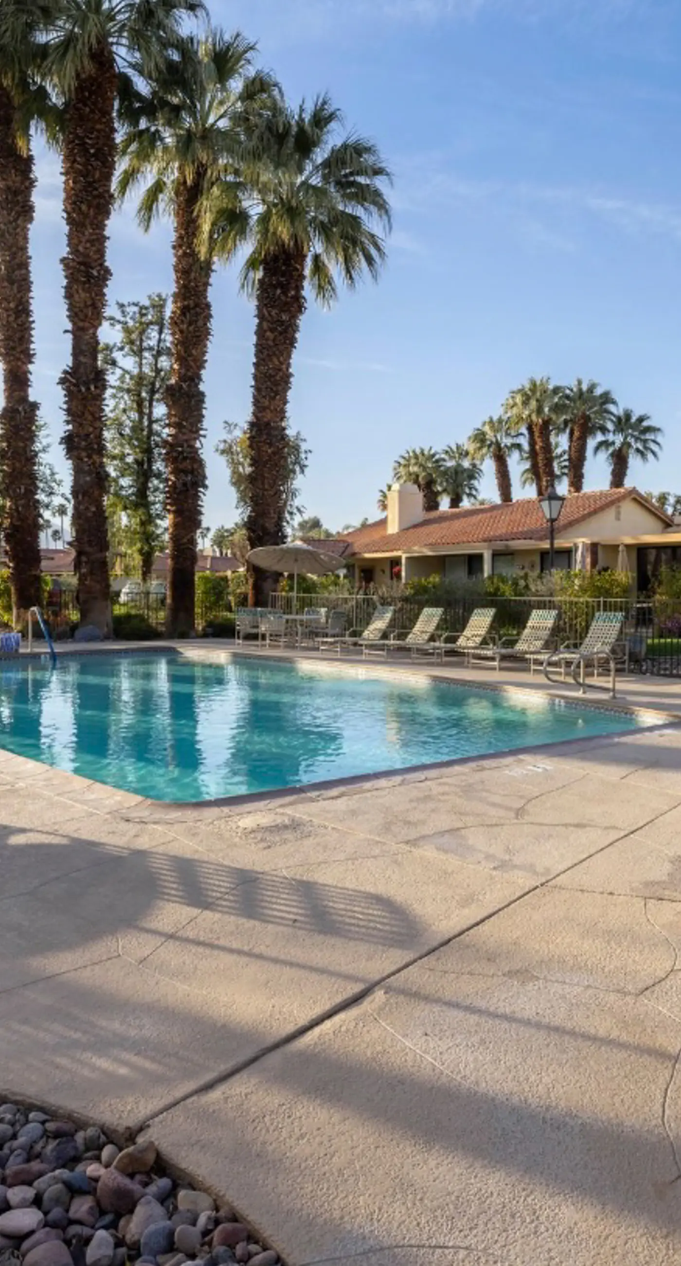 Palm Desert Charm