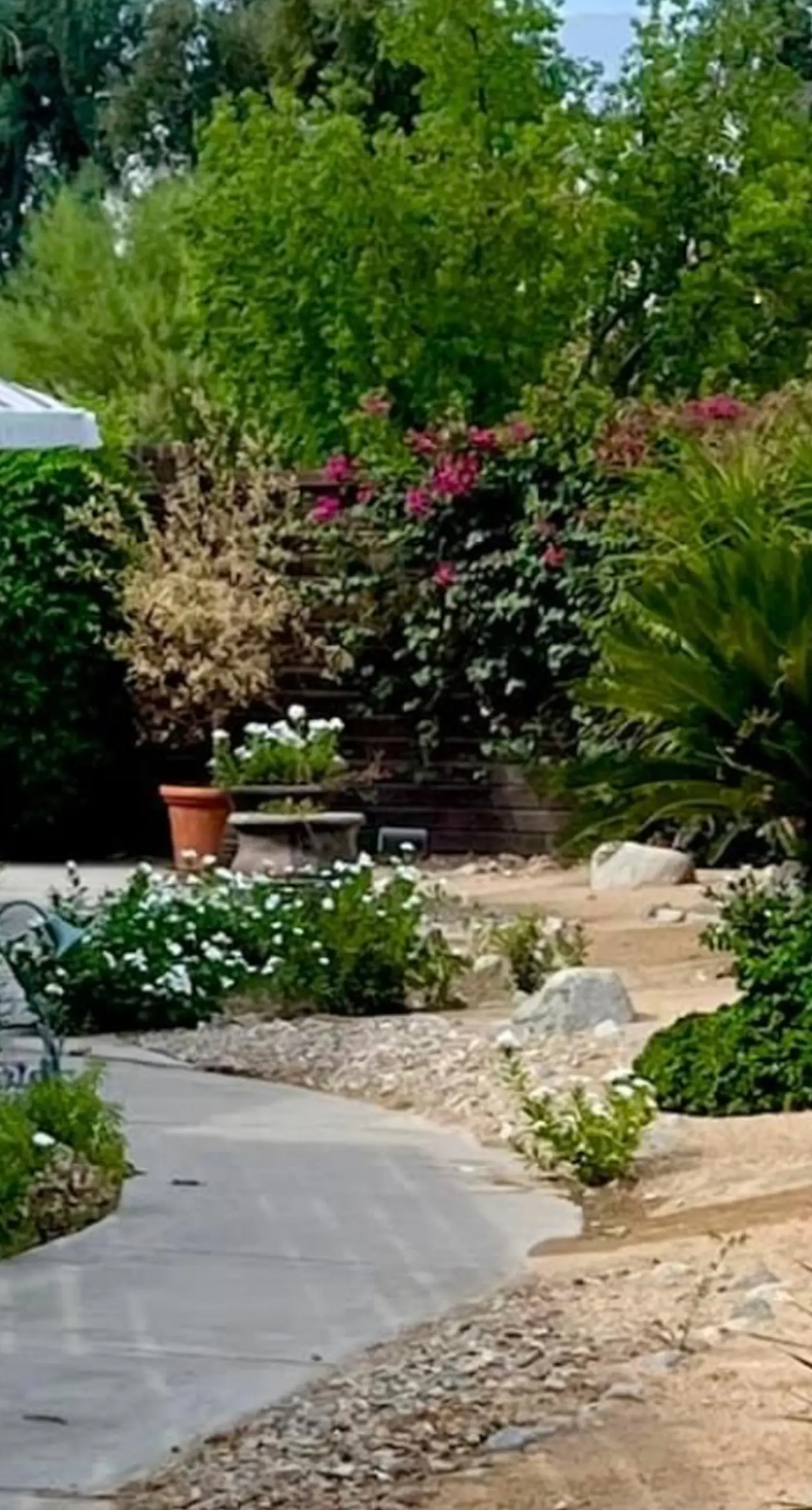 Palm Desert Charm