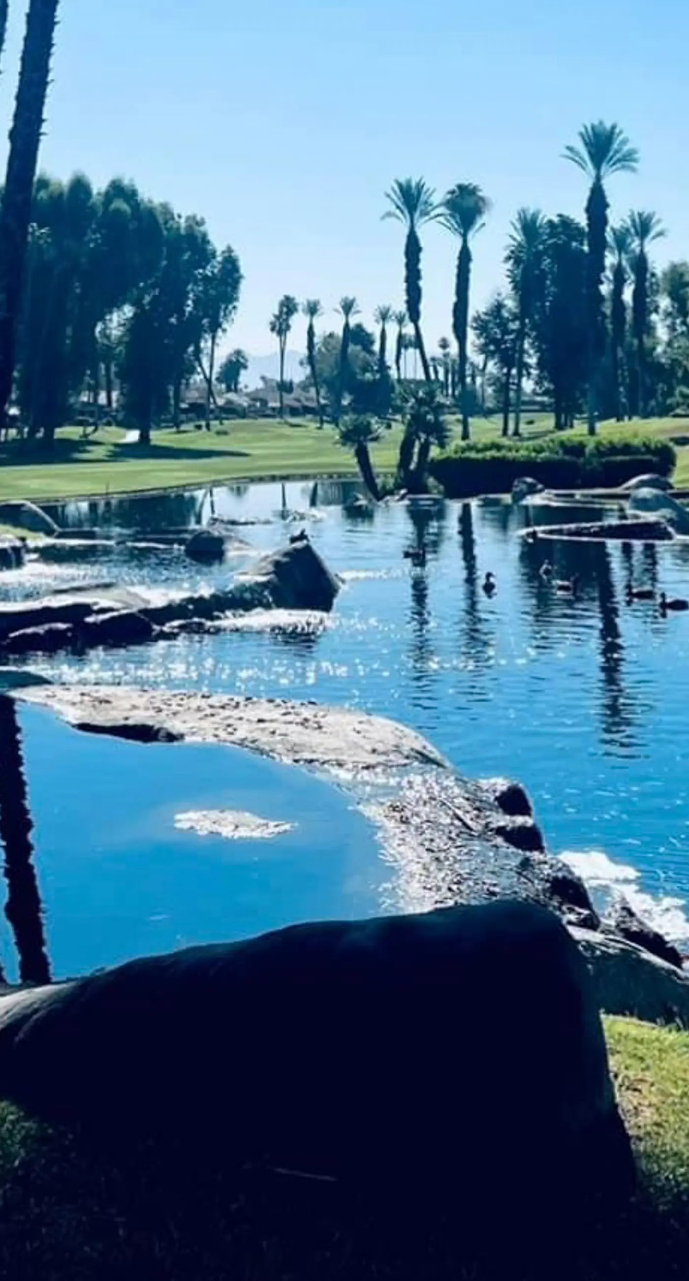 Palm Desert Charm