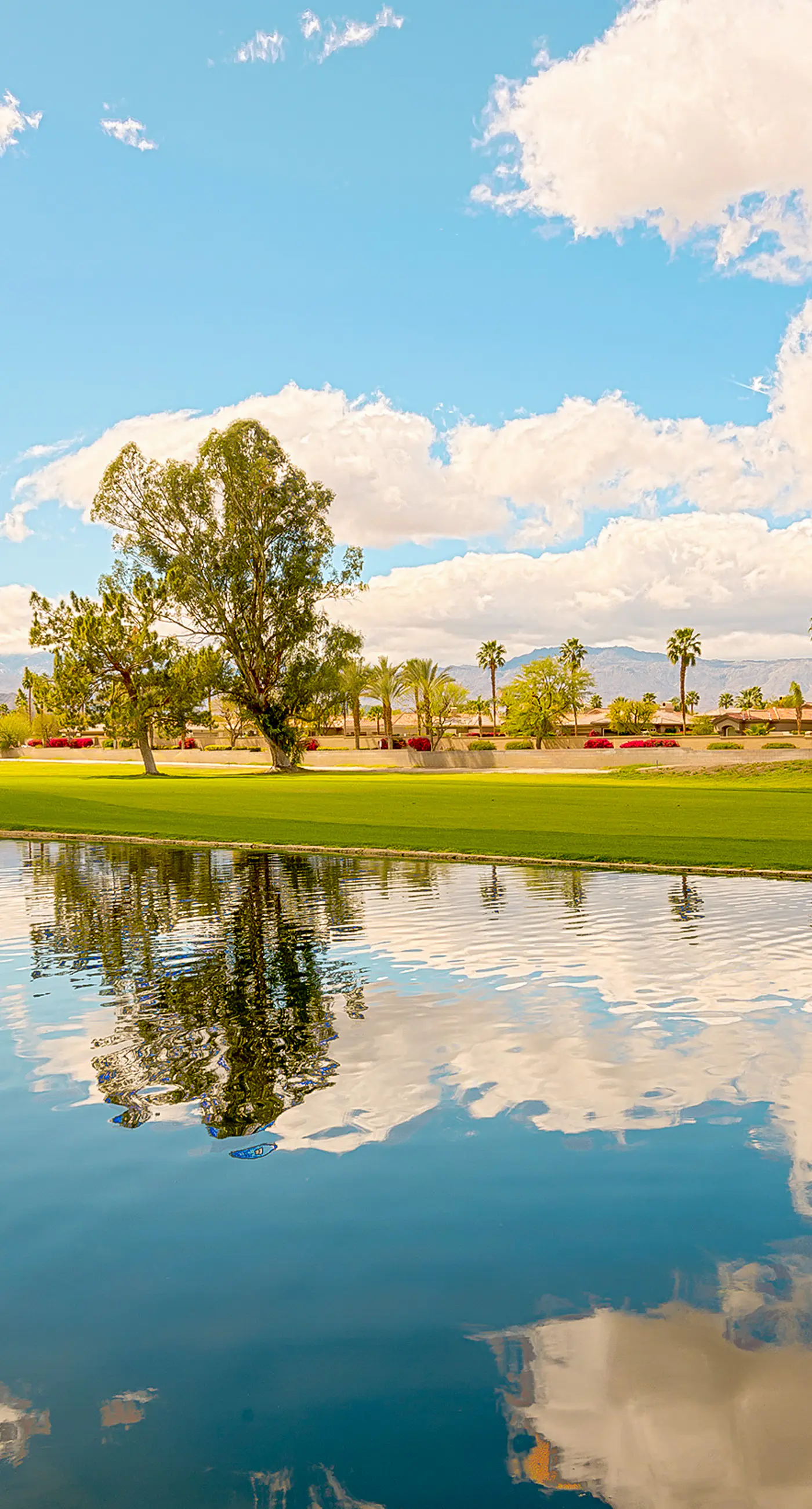 Palm Desert Resorter 16-18