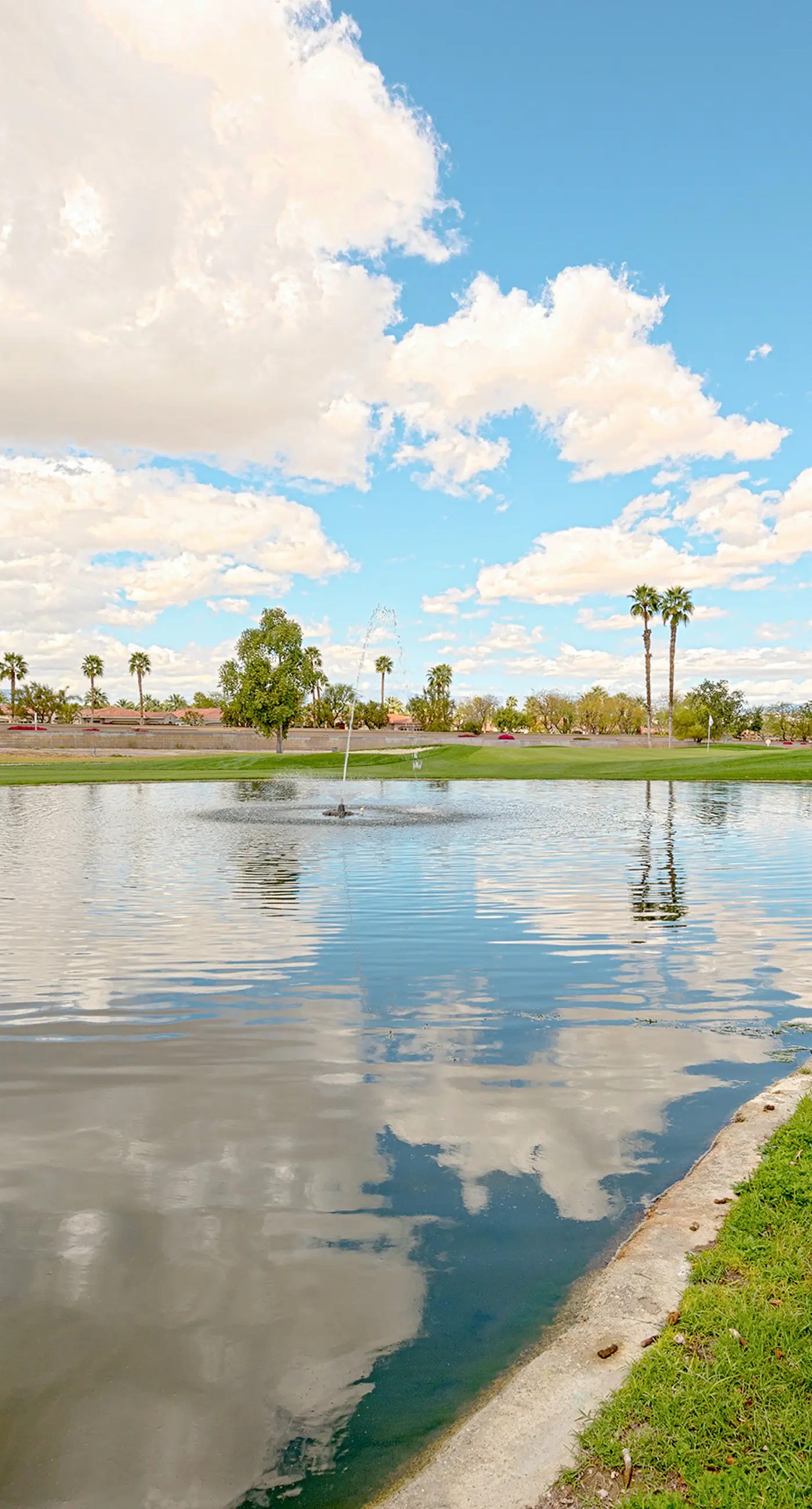 Palm Desert Resorter 16-18