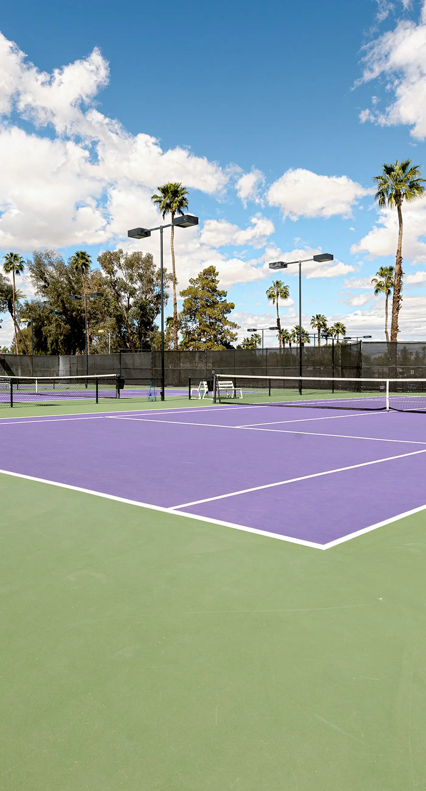 Palm Desert Resorter 16-18