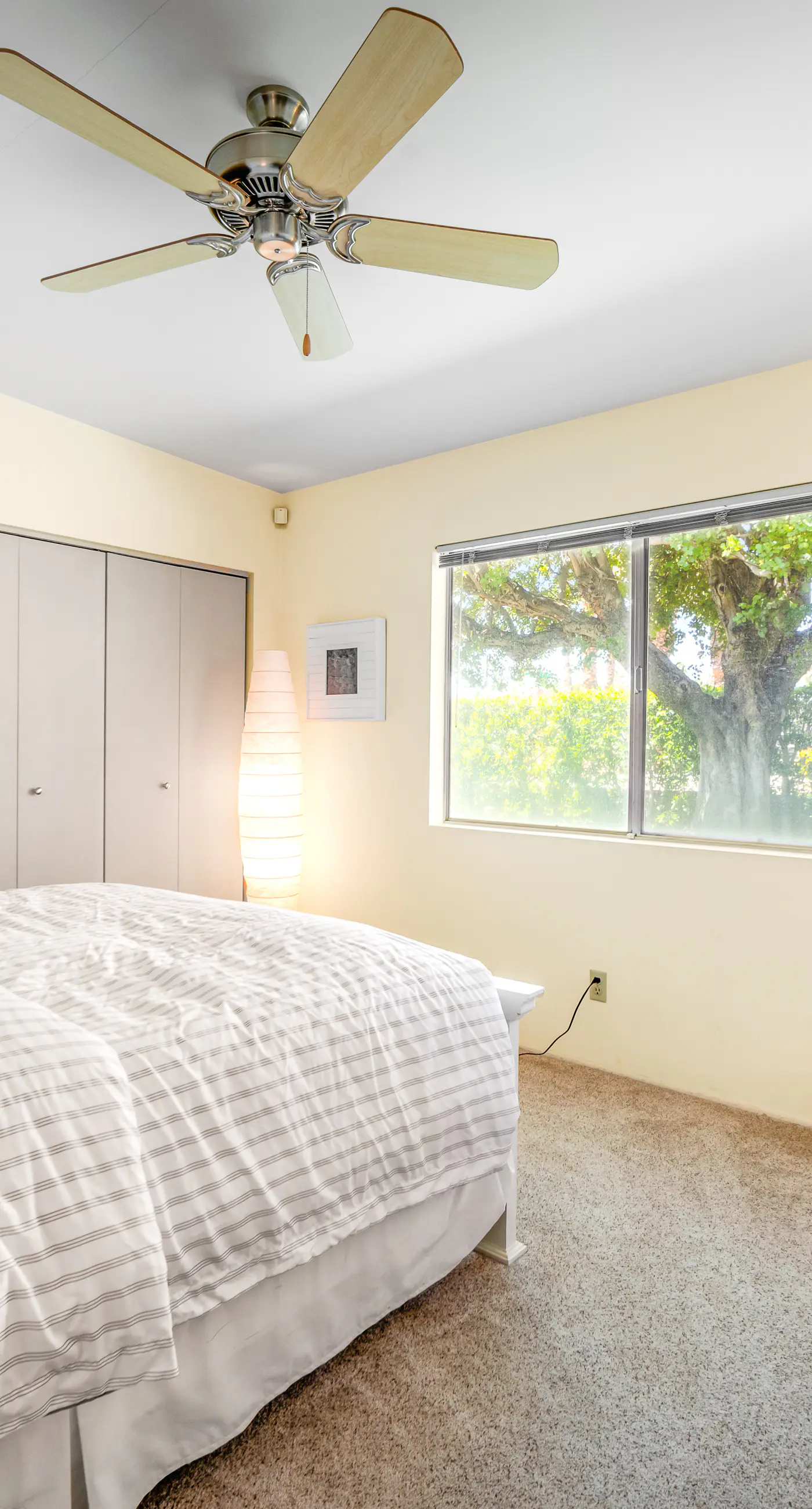 Sunrise Park Paradise - 49304