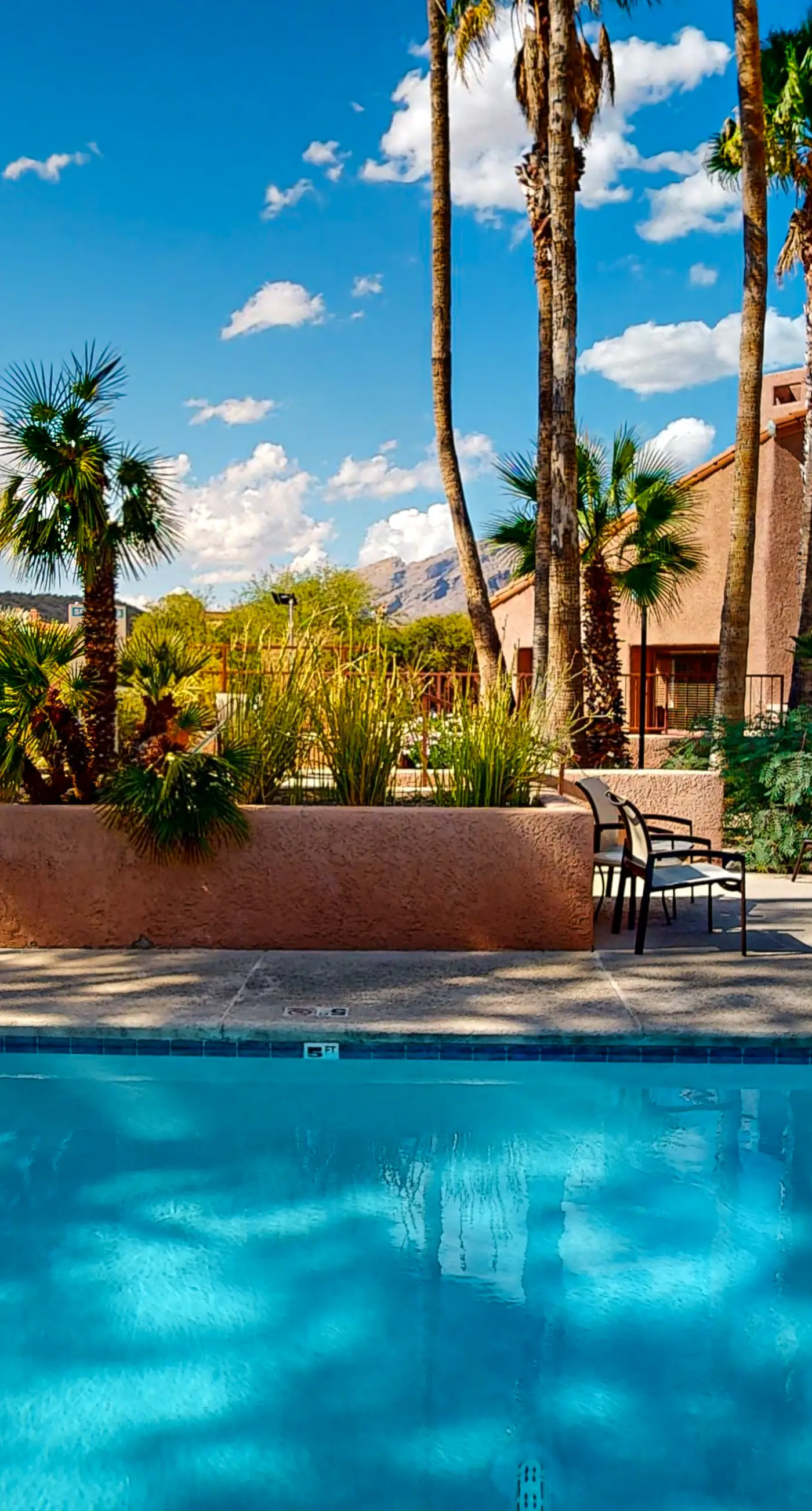 Sabino Canyon Gem